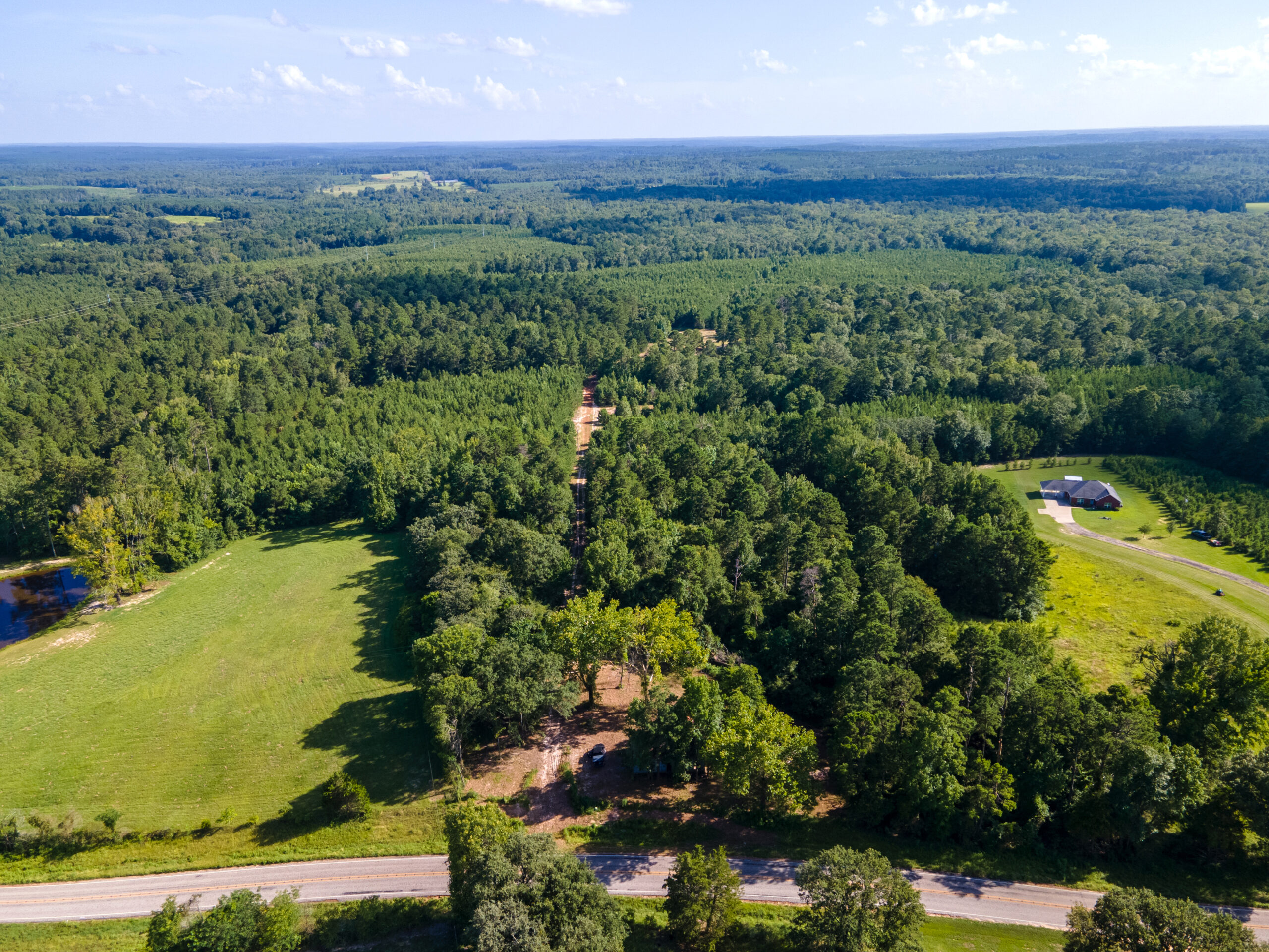 Reed Ranch – East Texas Hunting & Timber Property