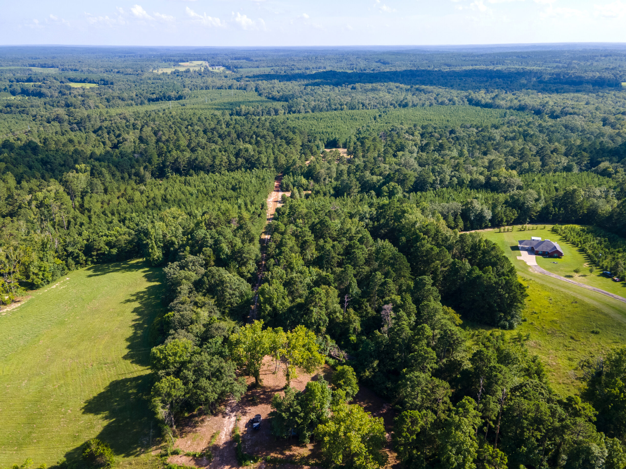 Reed Ranch – East Texas Hunting & Timber Property