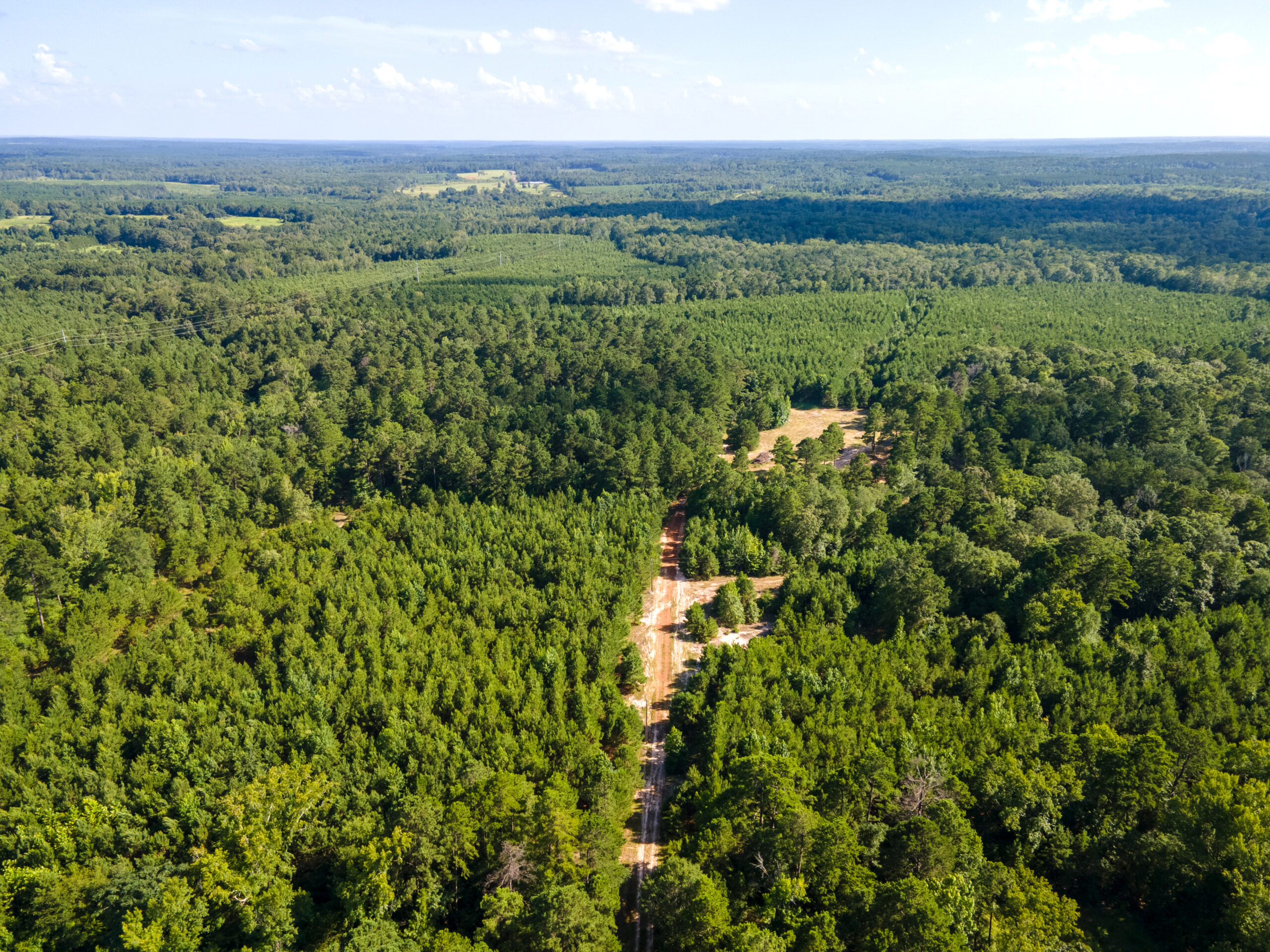 Reed Ranch – East Texas Hunting & Timber Property