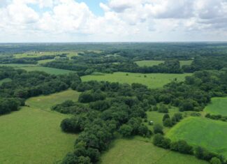 Hunting Paradise with CRP near Bethany, MO