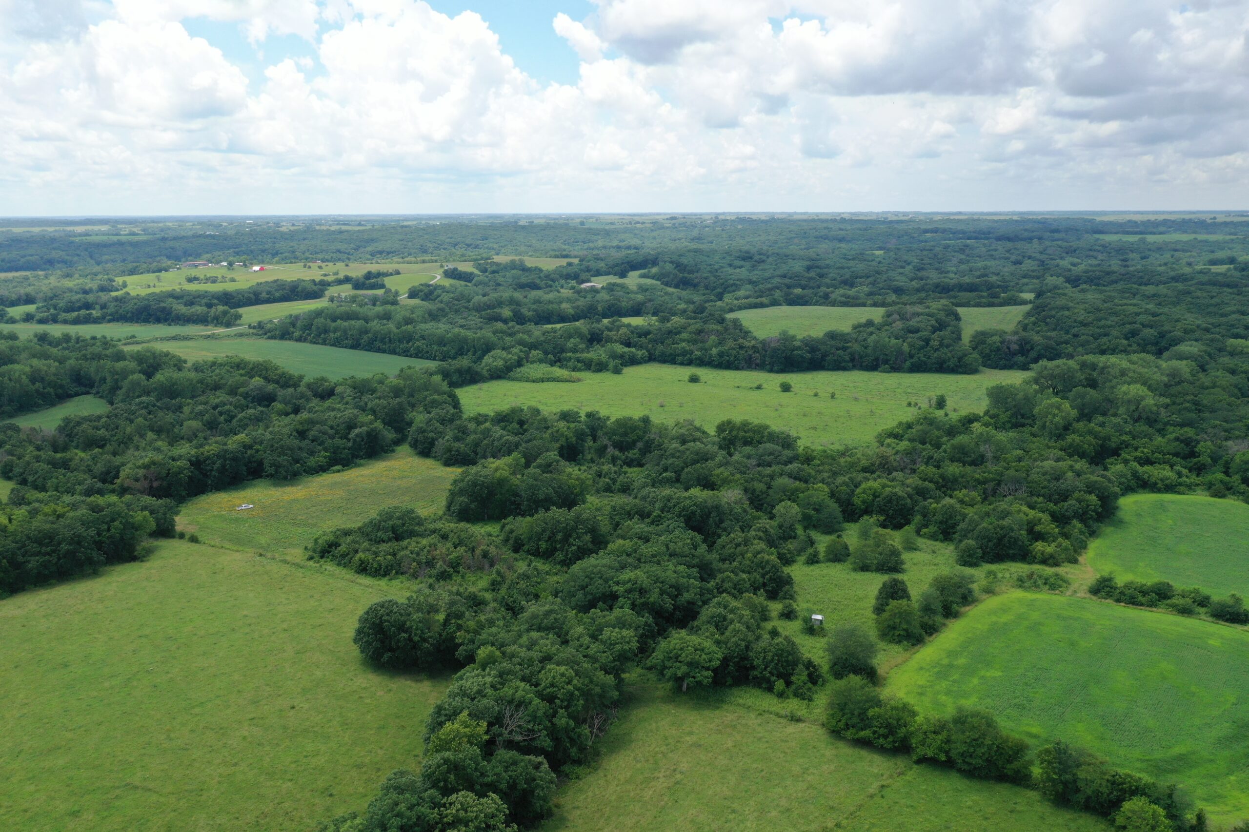 Hunting Paradise with CRP near Bethany, MO