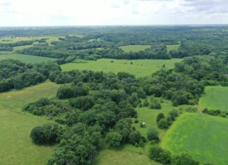 Hunting Paradise with CRP near Bethany, MO