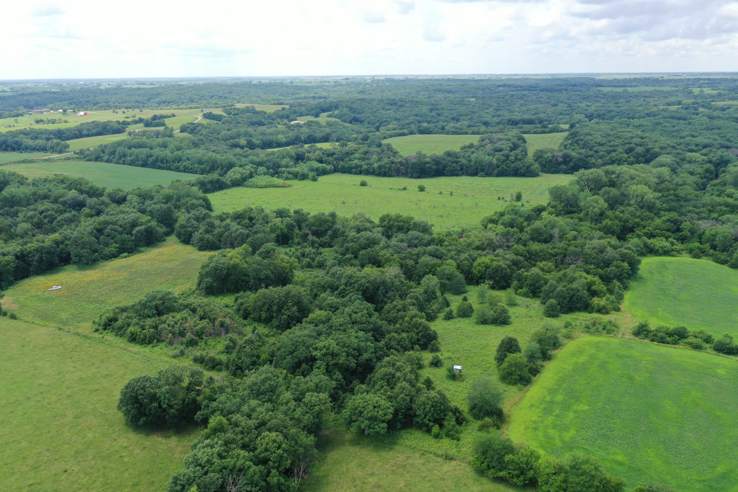 Hunting Paradise with CRP near Bethany, MO