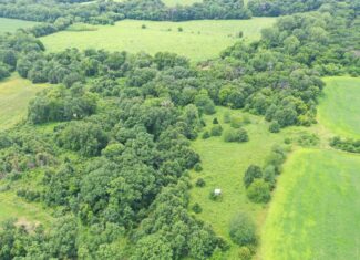 Hunting Paradise with CRP near Bethany, MO