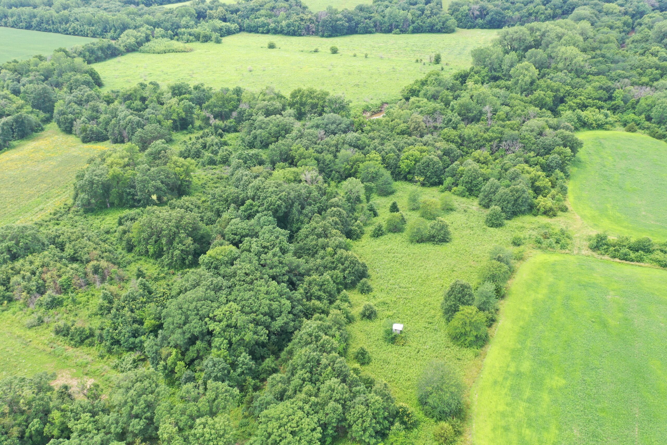 Hunting Paradise with CRP near Bethany, MO