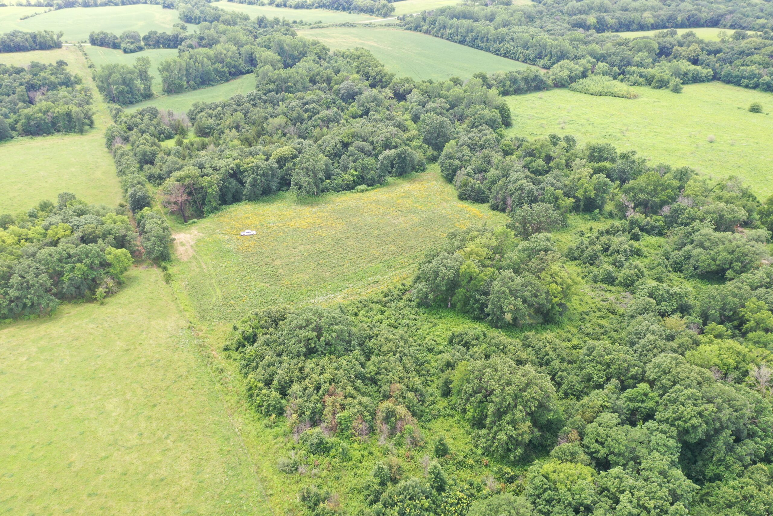 Hunting Paradise with CRP near Bethany, MO