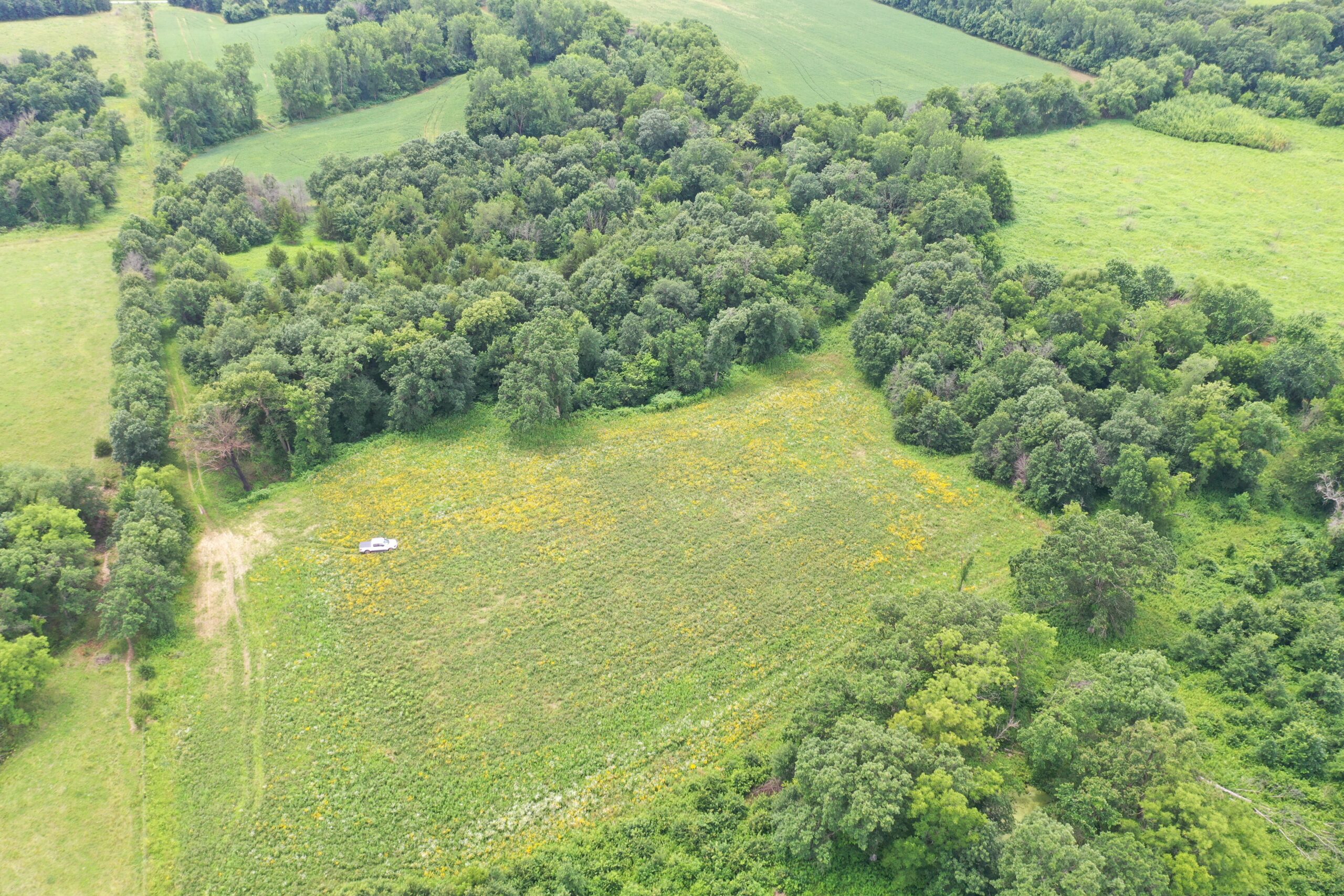 Hunting Paradise with CRP near Bethany, MO