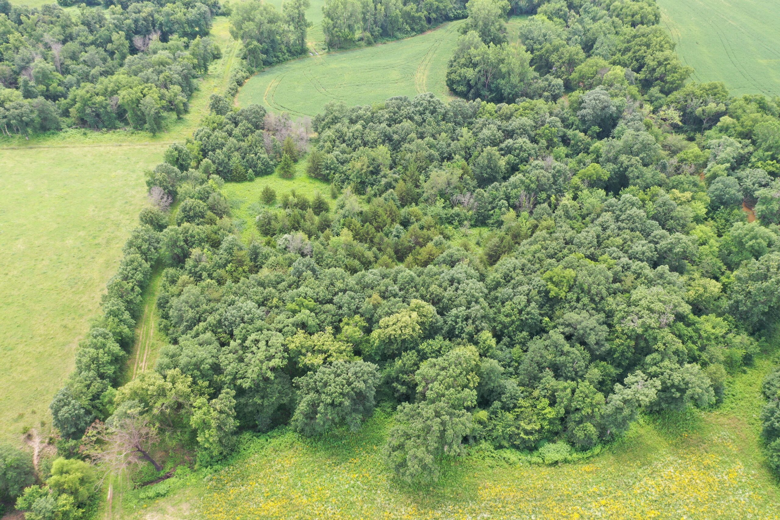 Hunting Paradise with CRP near Bethany, MO