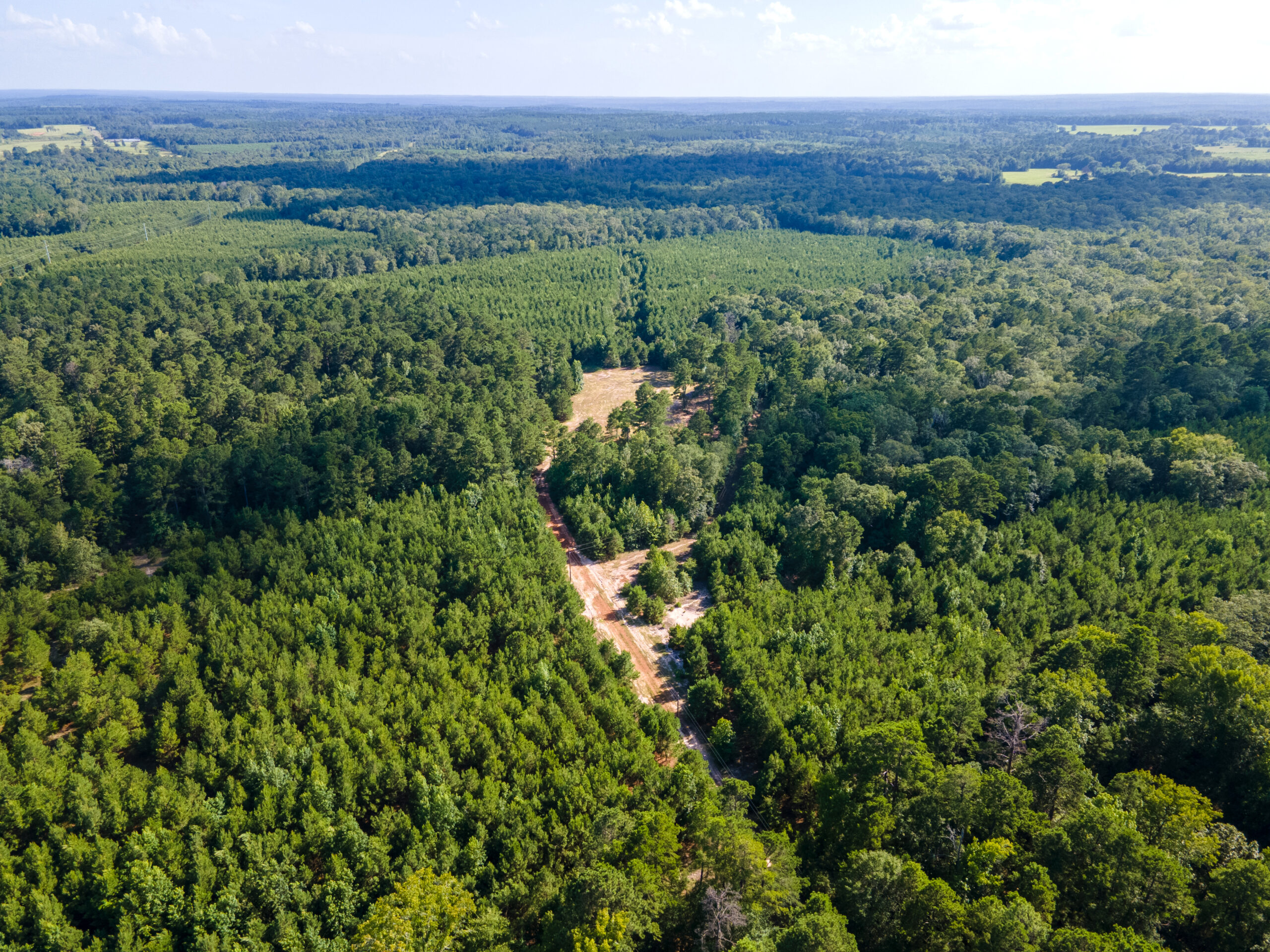 Reed Ranch – East Texas Hunting & Timber Property