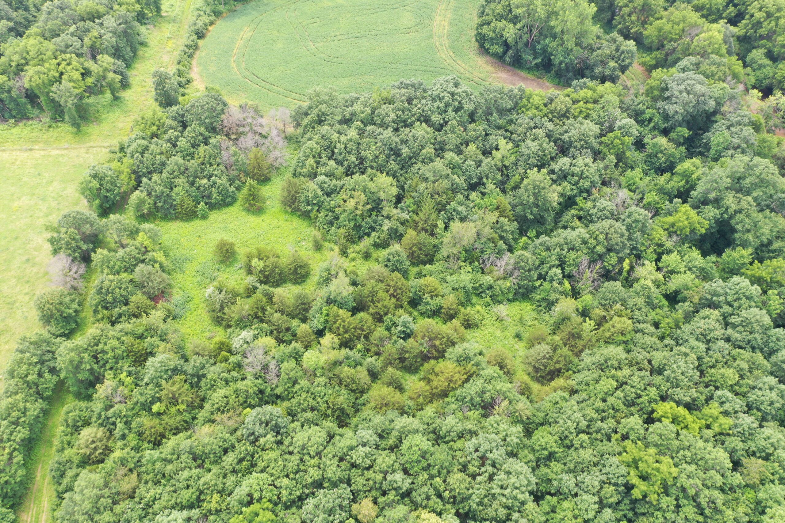 Hunting Paradise with CRP near Bethany, MO