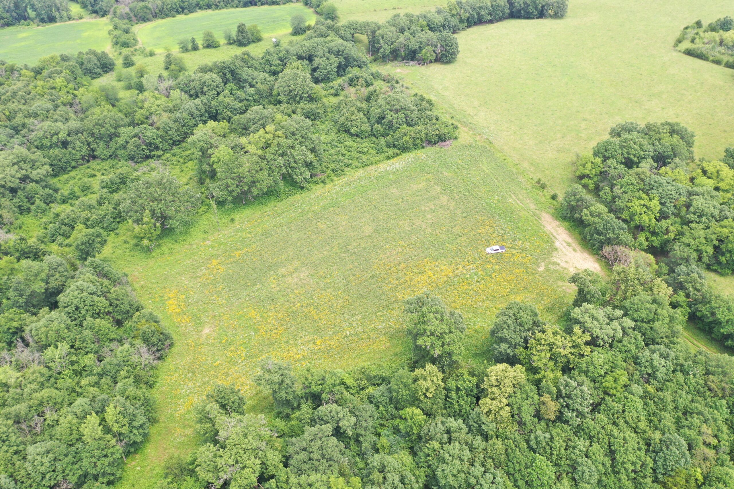 Hunting Paradise with CRP near Bethany, MO