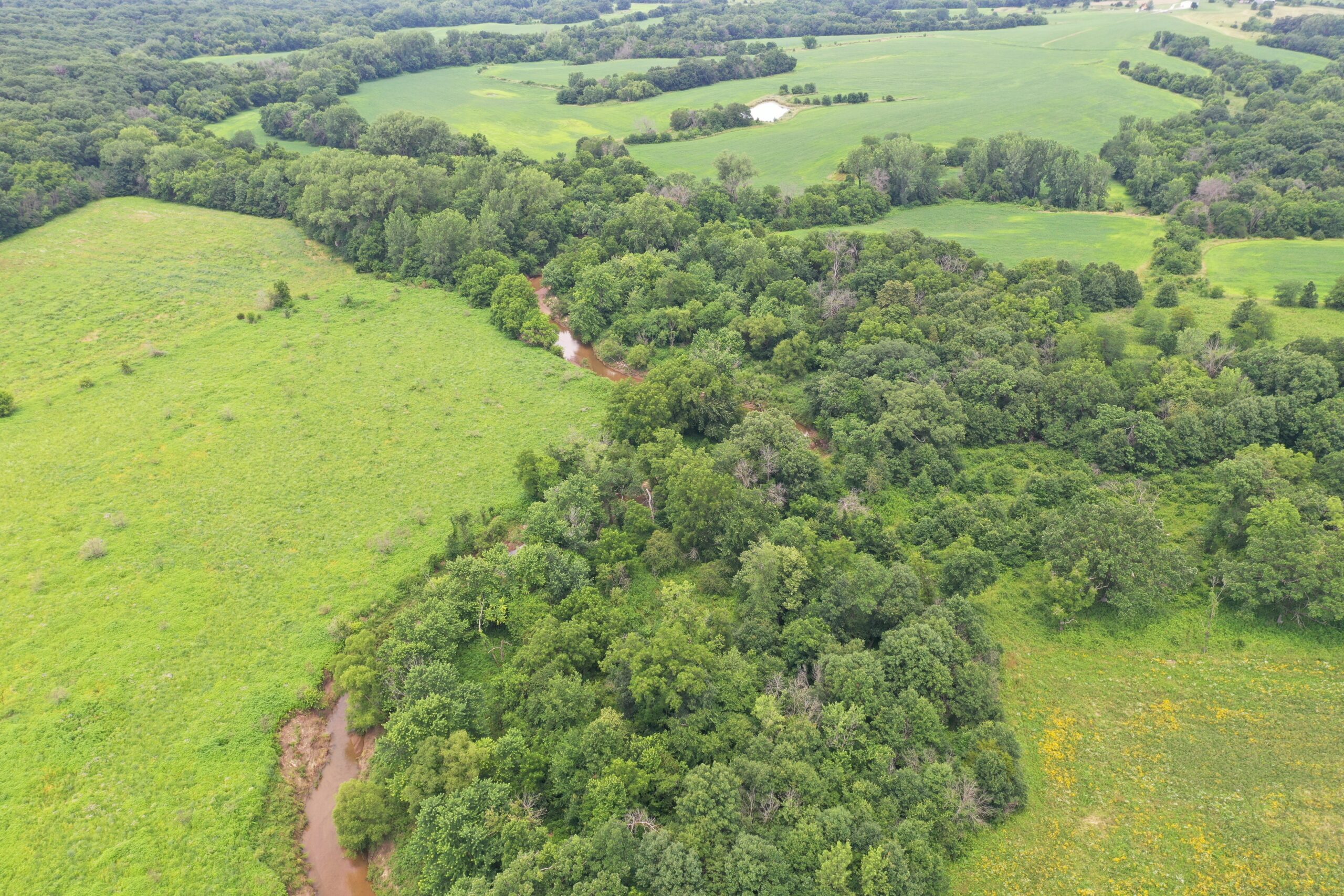 Hunting Paradise with CRP near Bethany, MO
