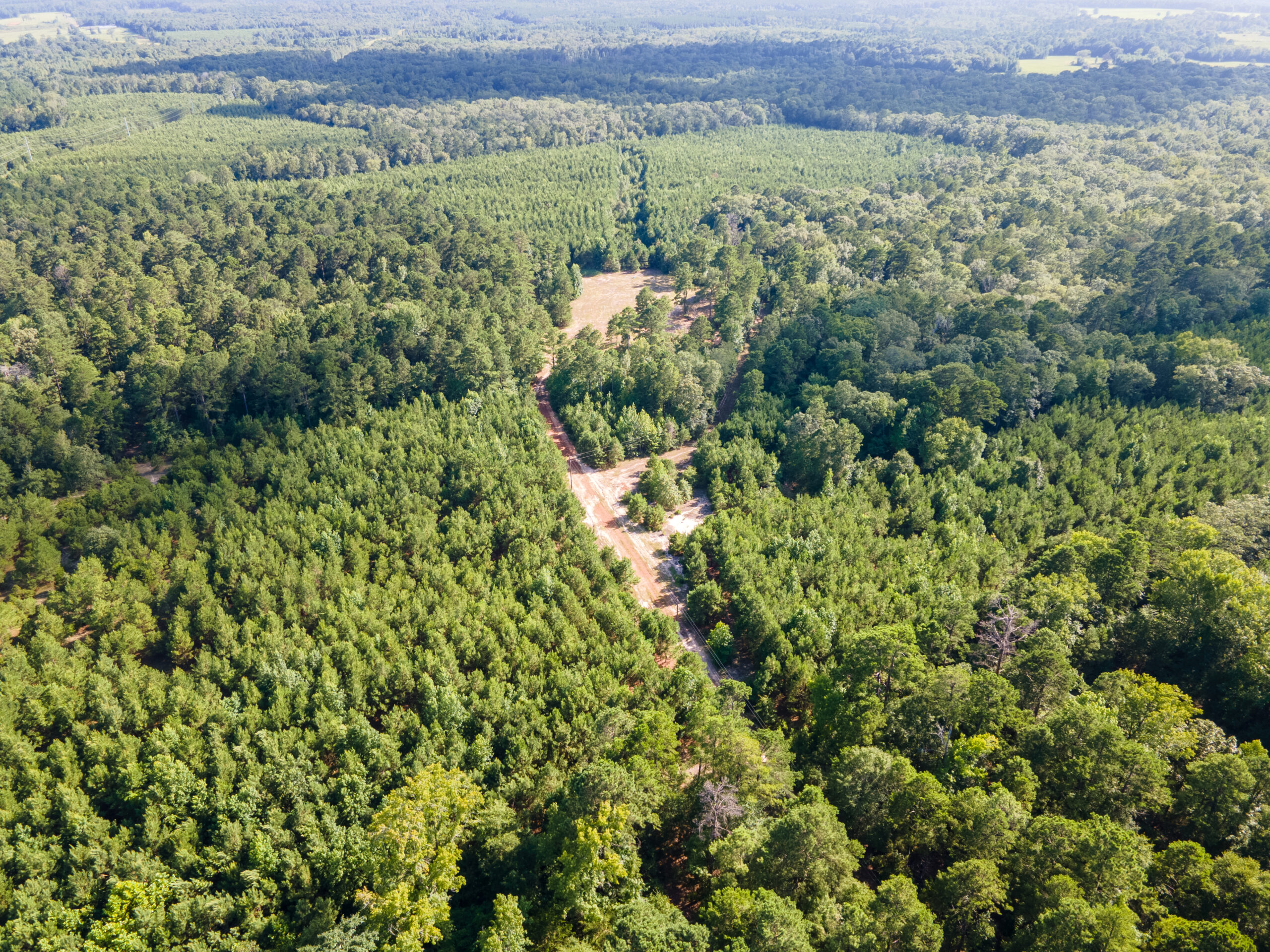 Reed Ranch – East Texas Hunting & Timber Property