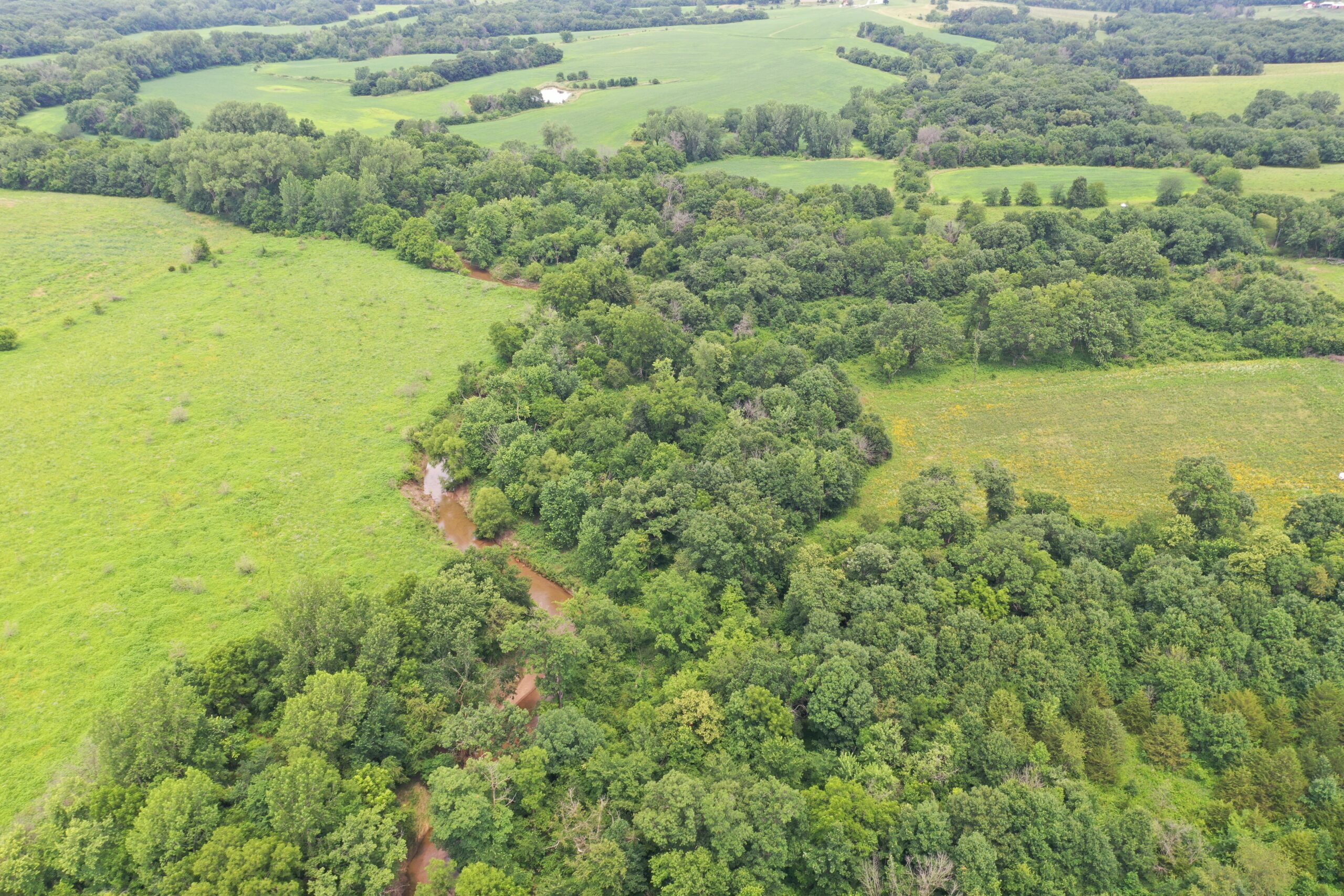 Hunting Paradise with CRP near Bethany, MO