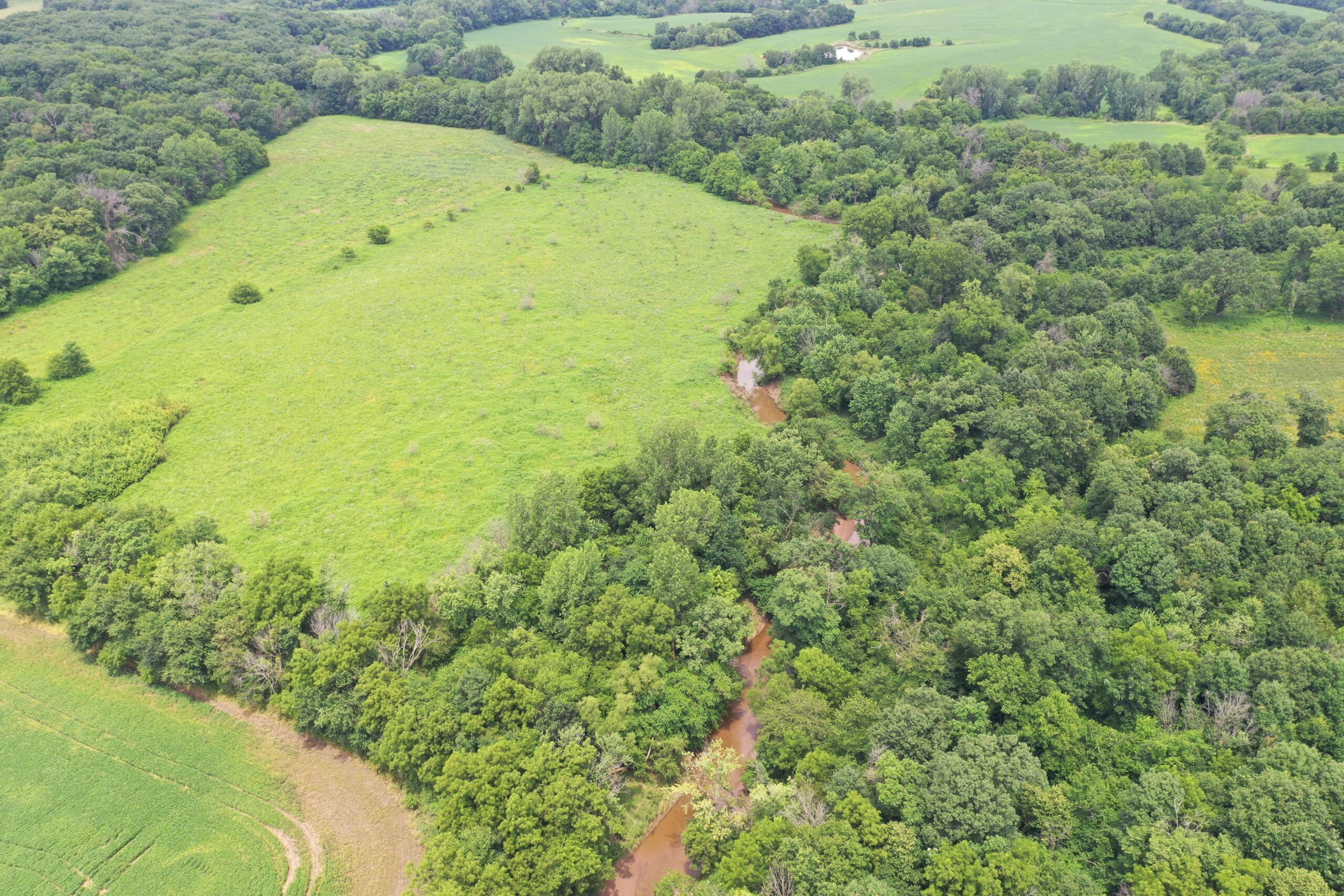 Hunting Paradise with CRP near Bethany, MO