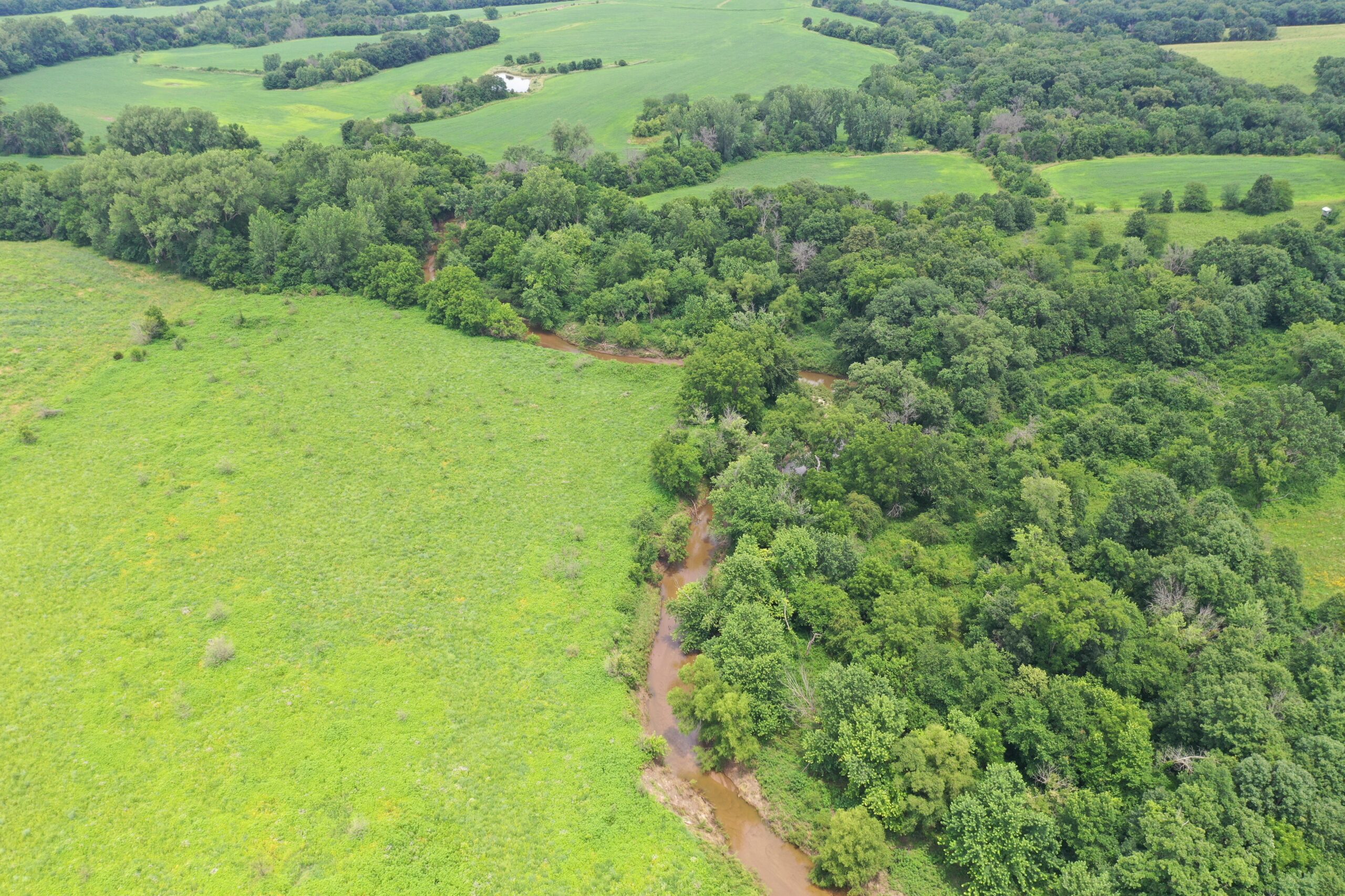 Hunting Paradise with CRP near Bethany, MO