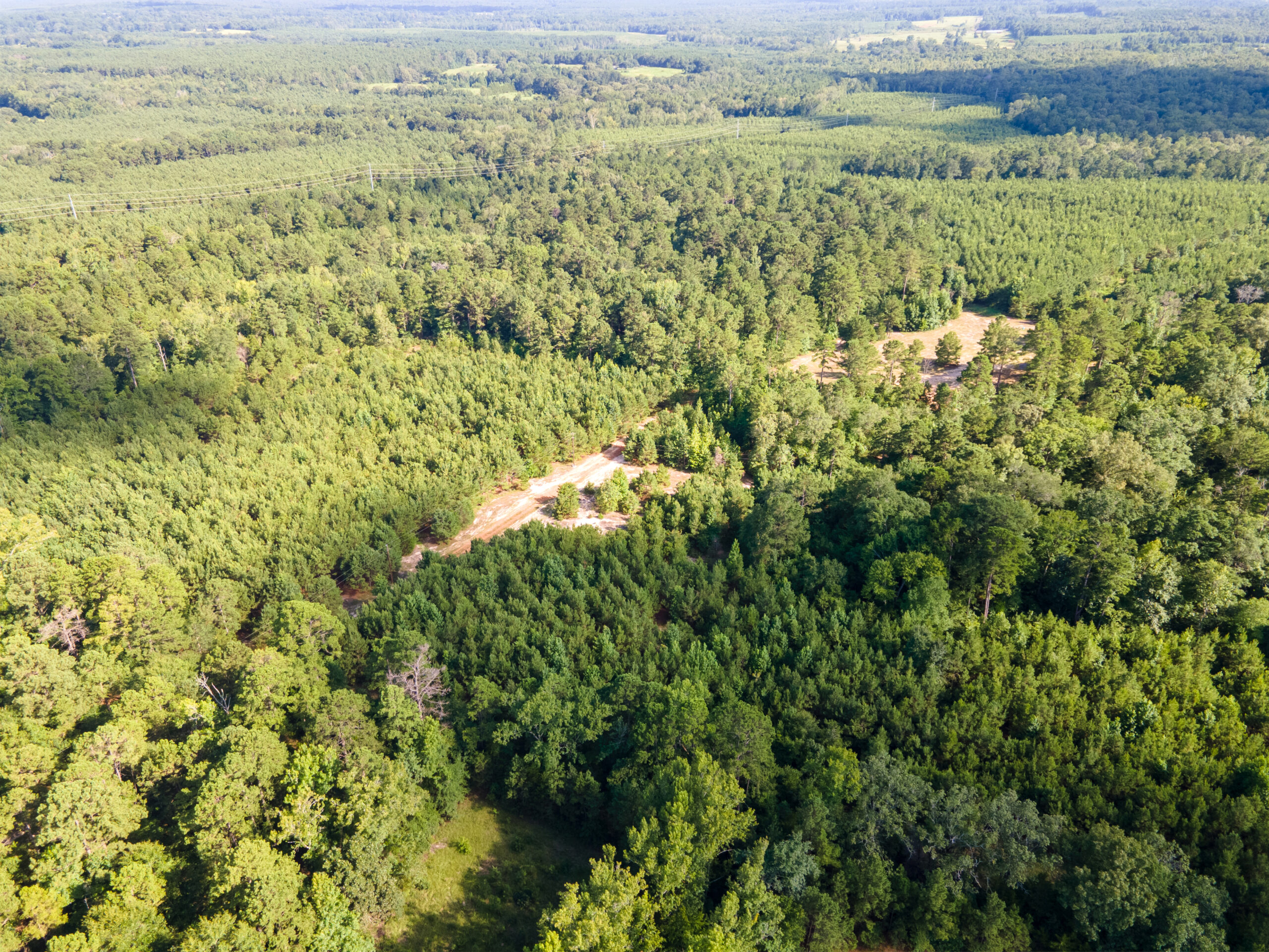 Reed Ranch – East Texas Hunting & Timber Property