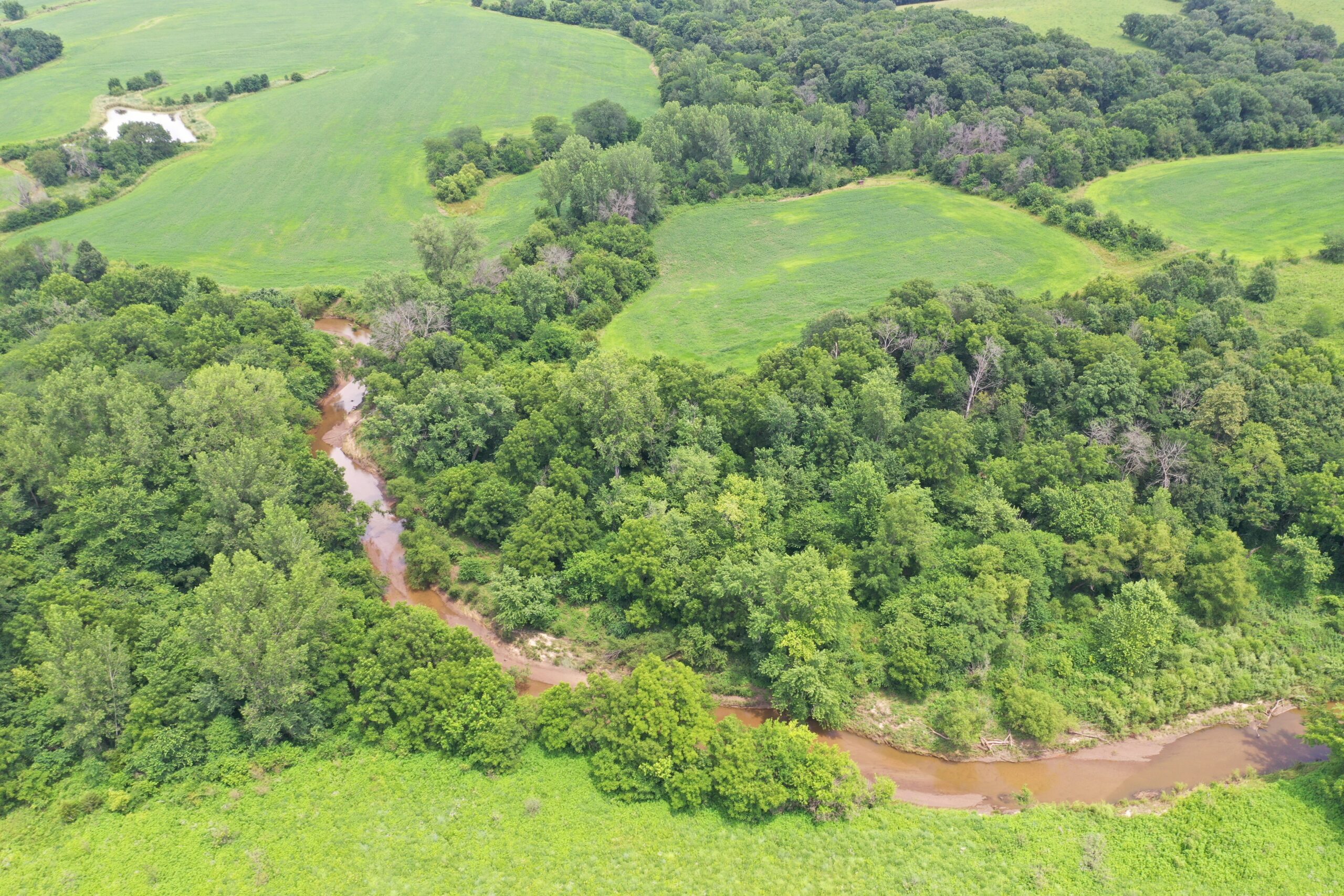 Hunting Paradise with CRP near Bethany, MO