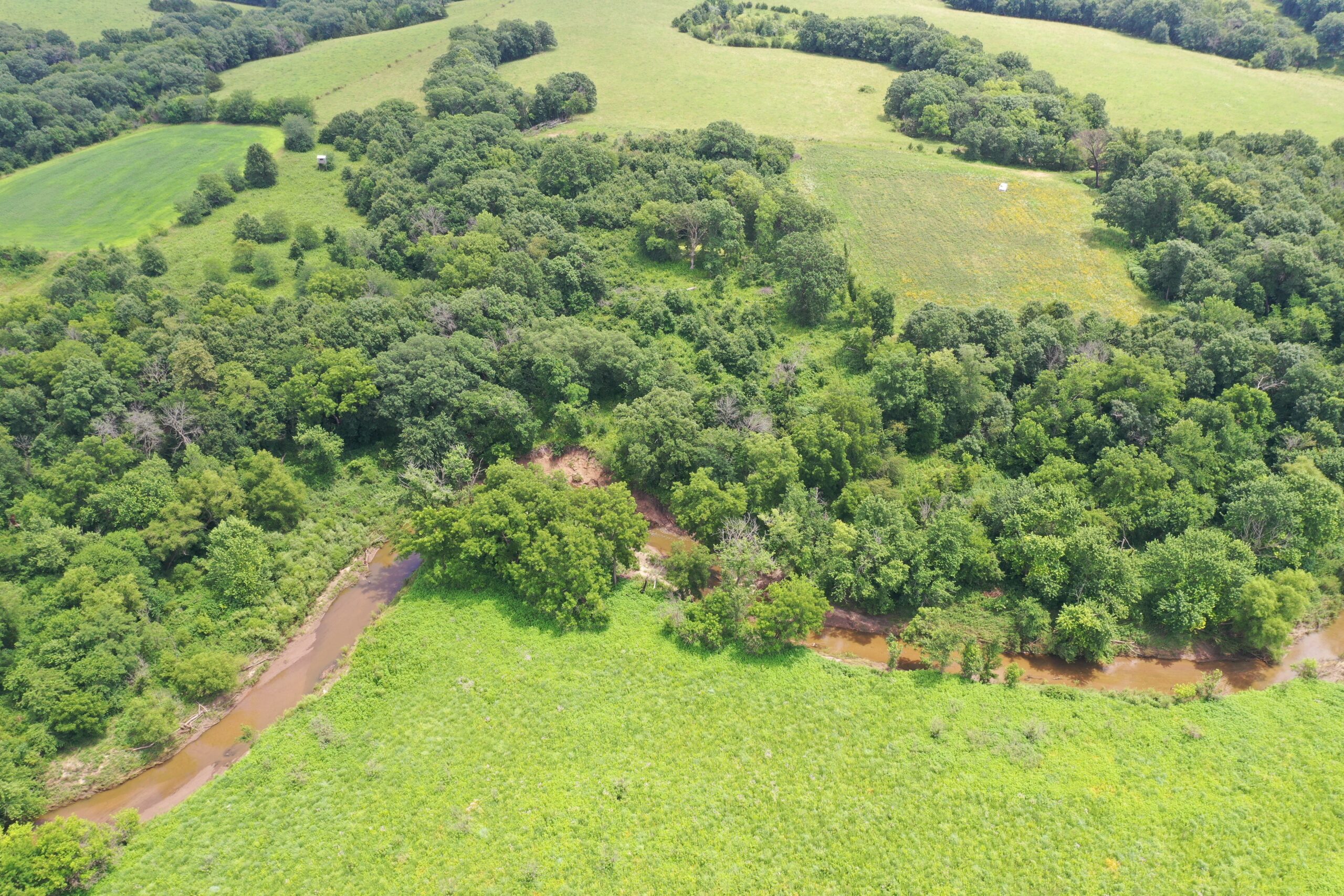 Hunting Paradise with CRP near Bethany, MO