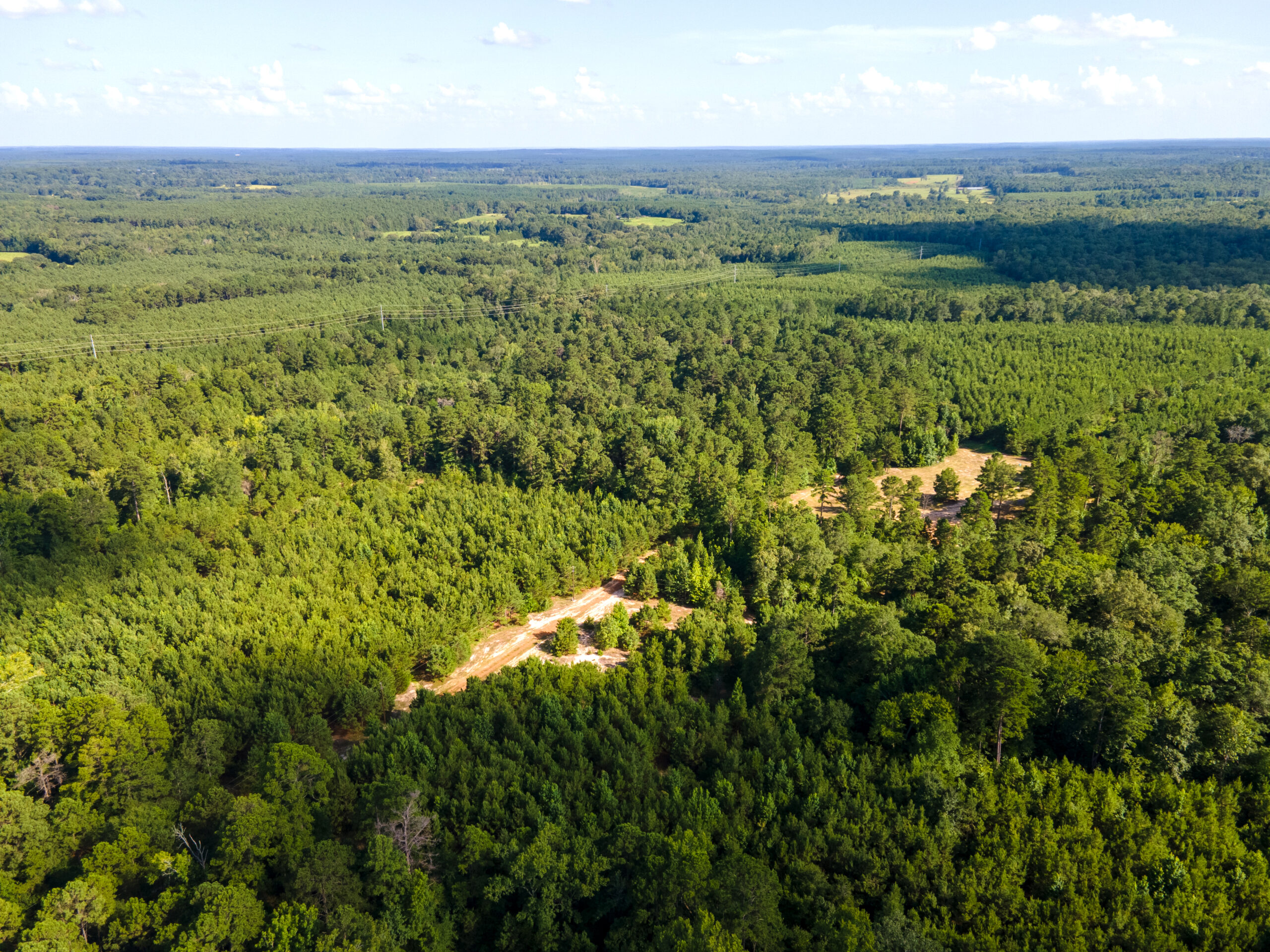 Reed Ranch – East Texas Hunting & Timber Property