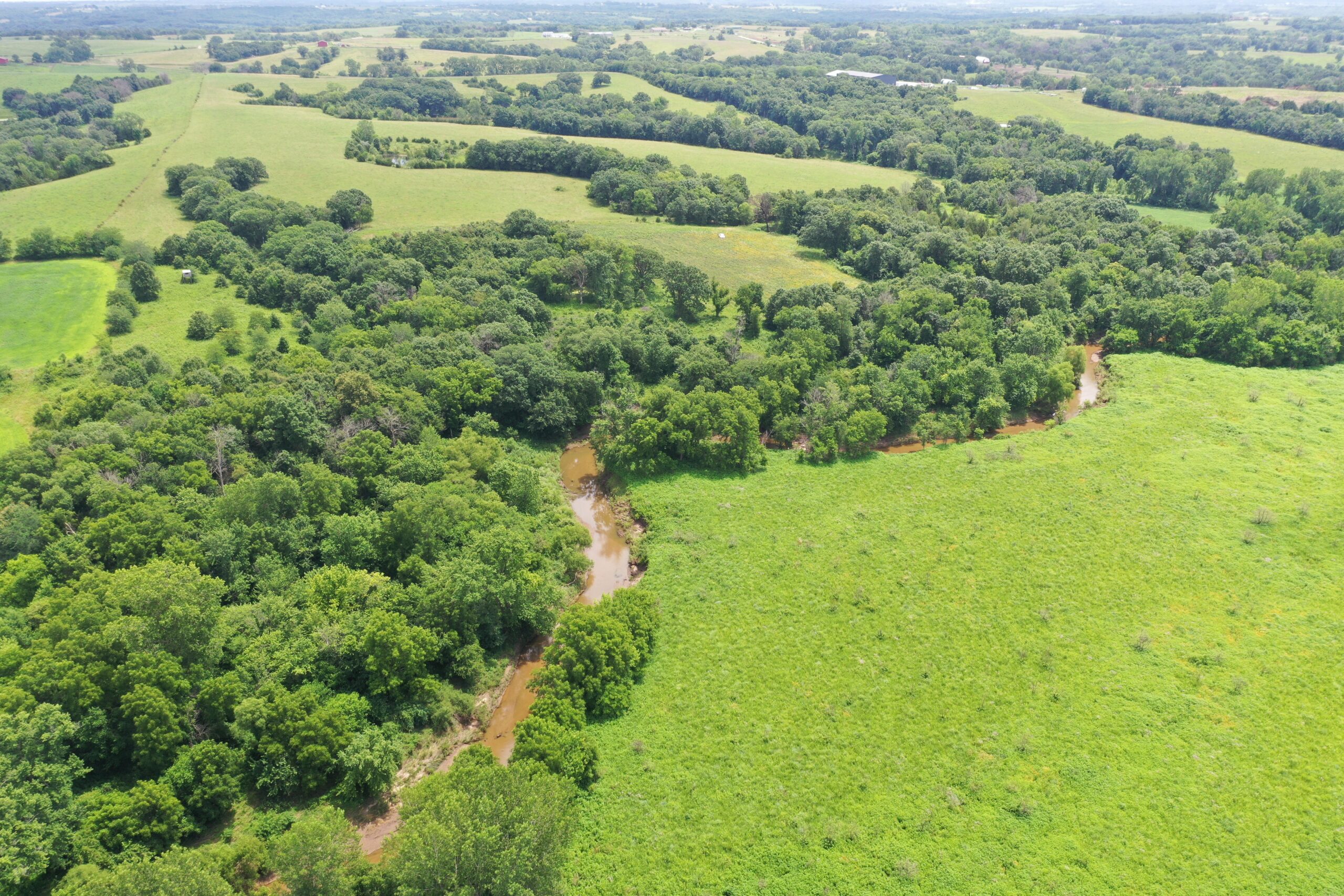 Hunting Paradise with CRP near Bethany, MO