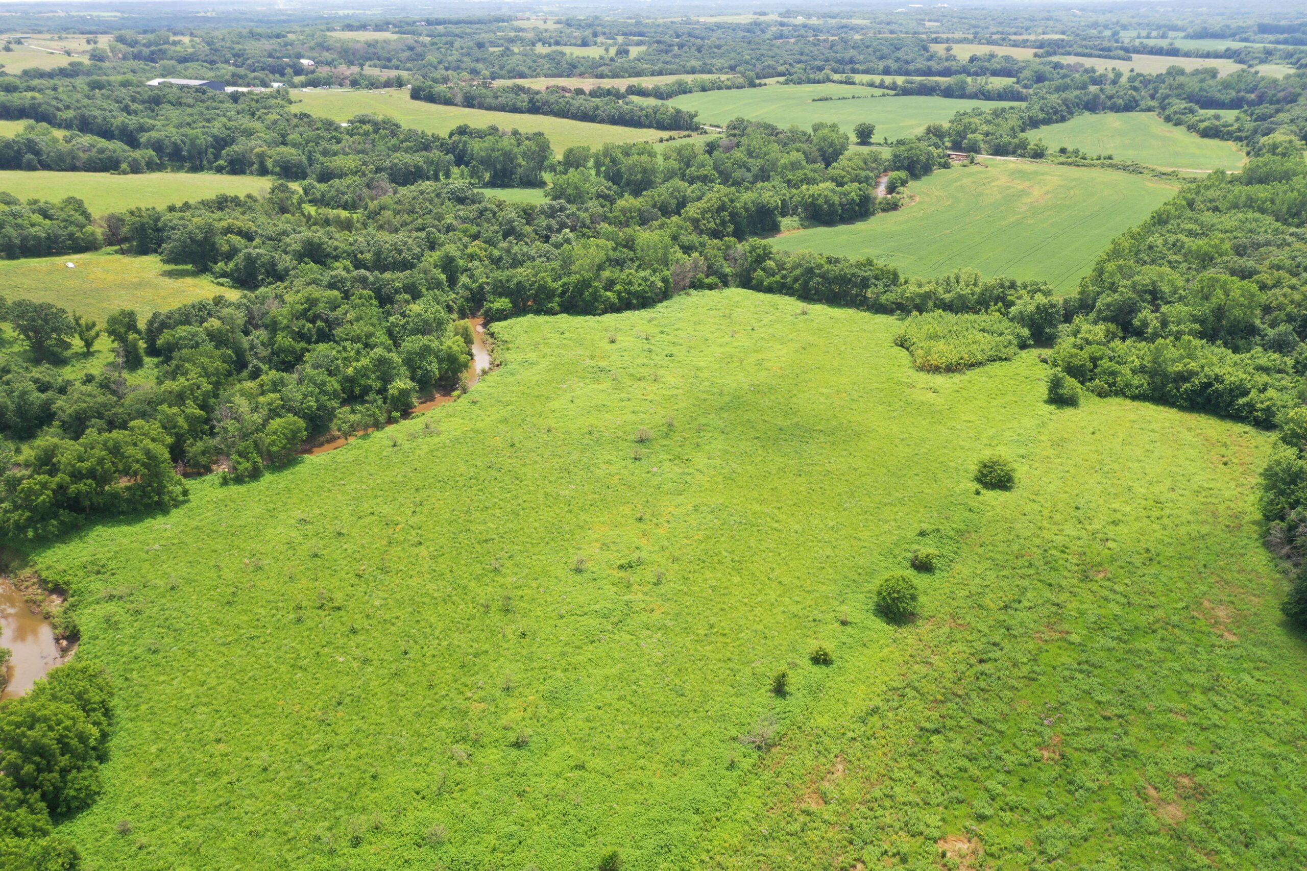 Hunting Paradise with CRP near Bethany, MO