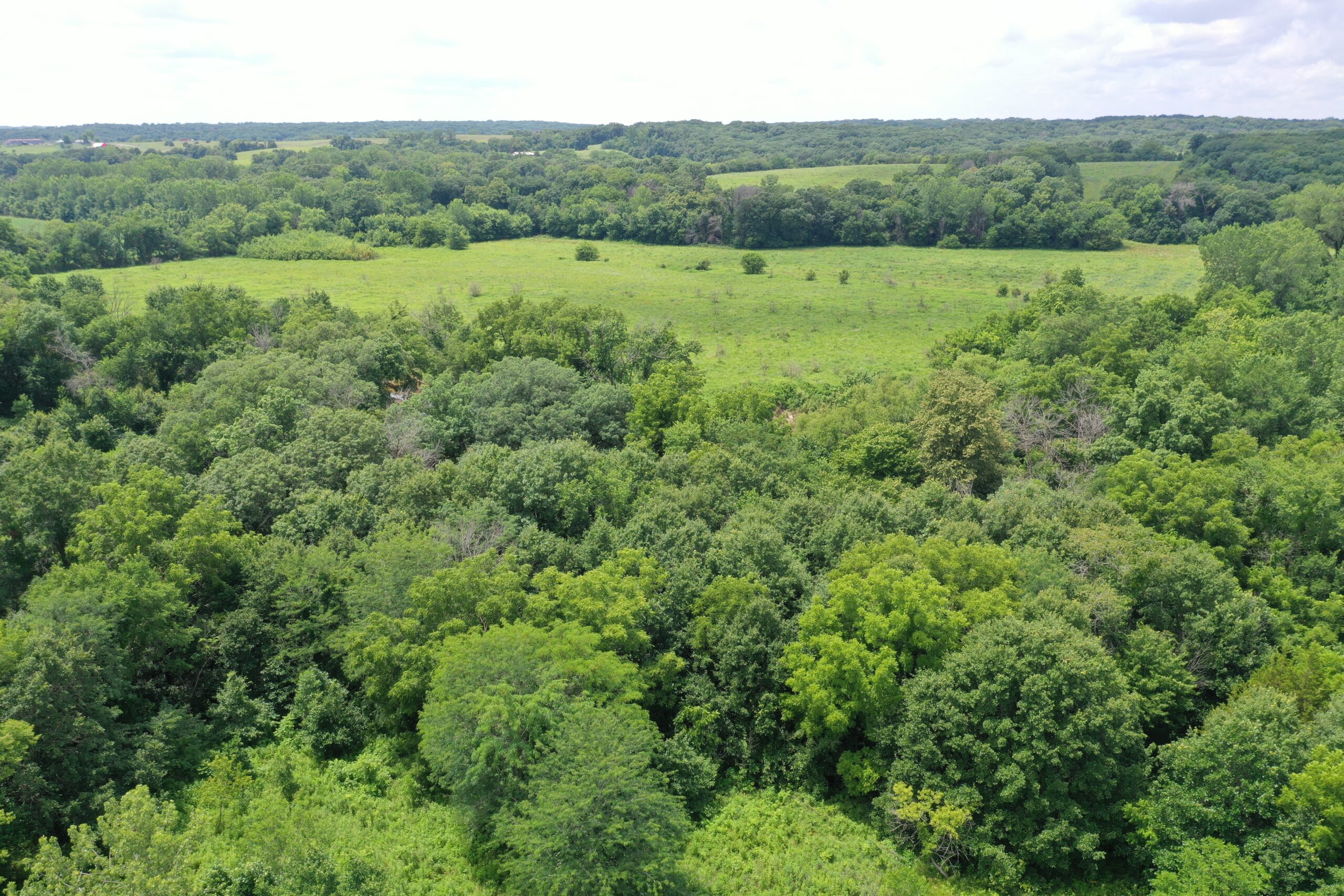 Hunting Paradise with CRP near Bethany, MO