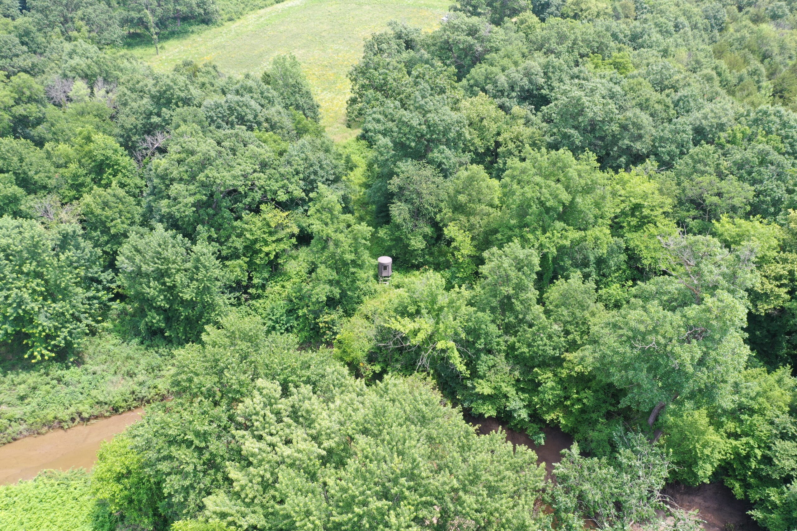Hunting Paradise with CRP near Bethany, MO