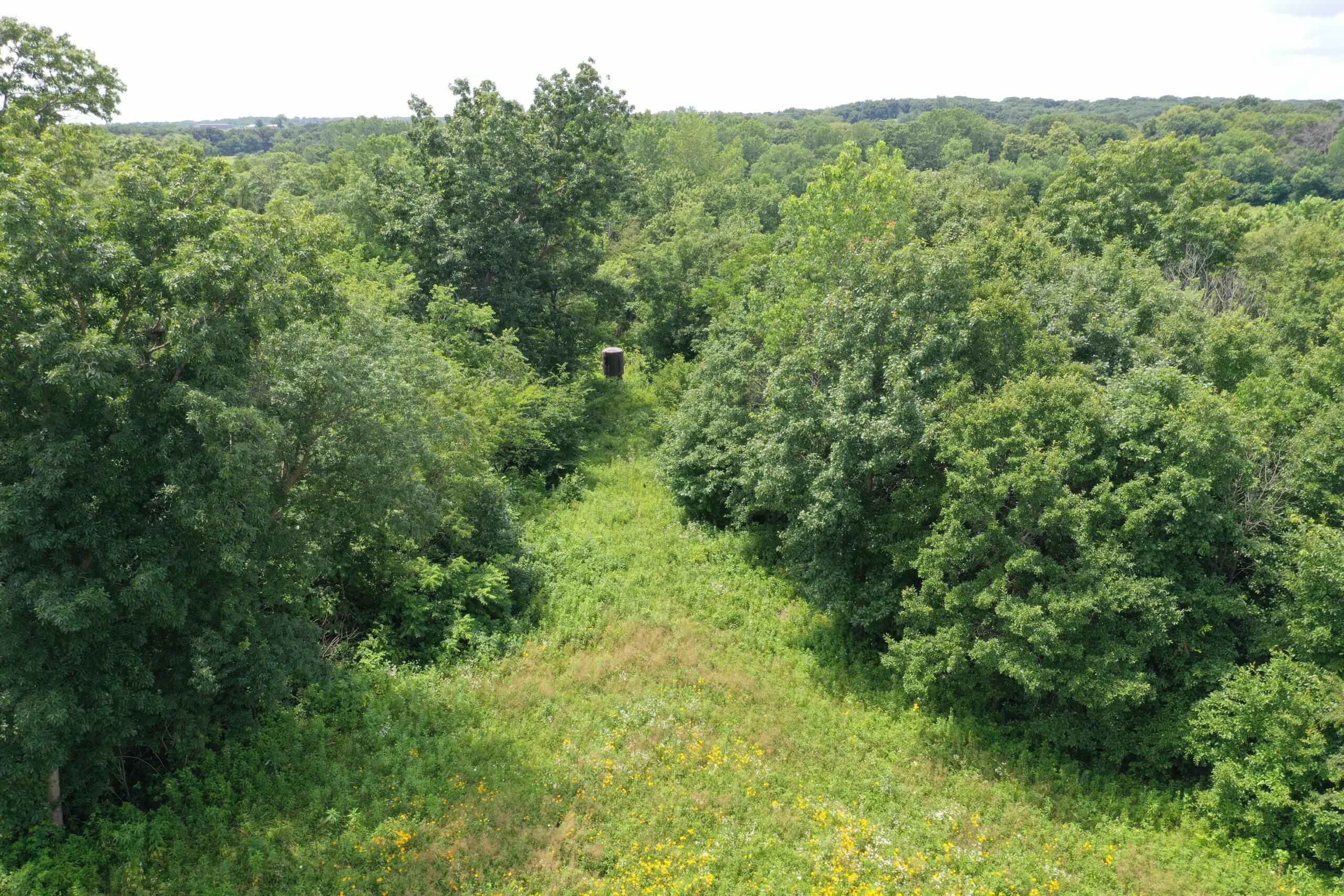 Hunting Paradise with CRP near Bethany, MO