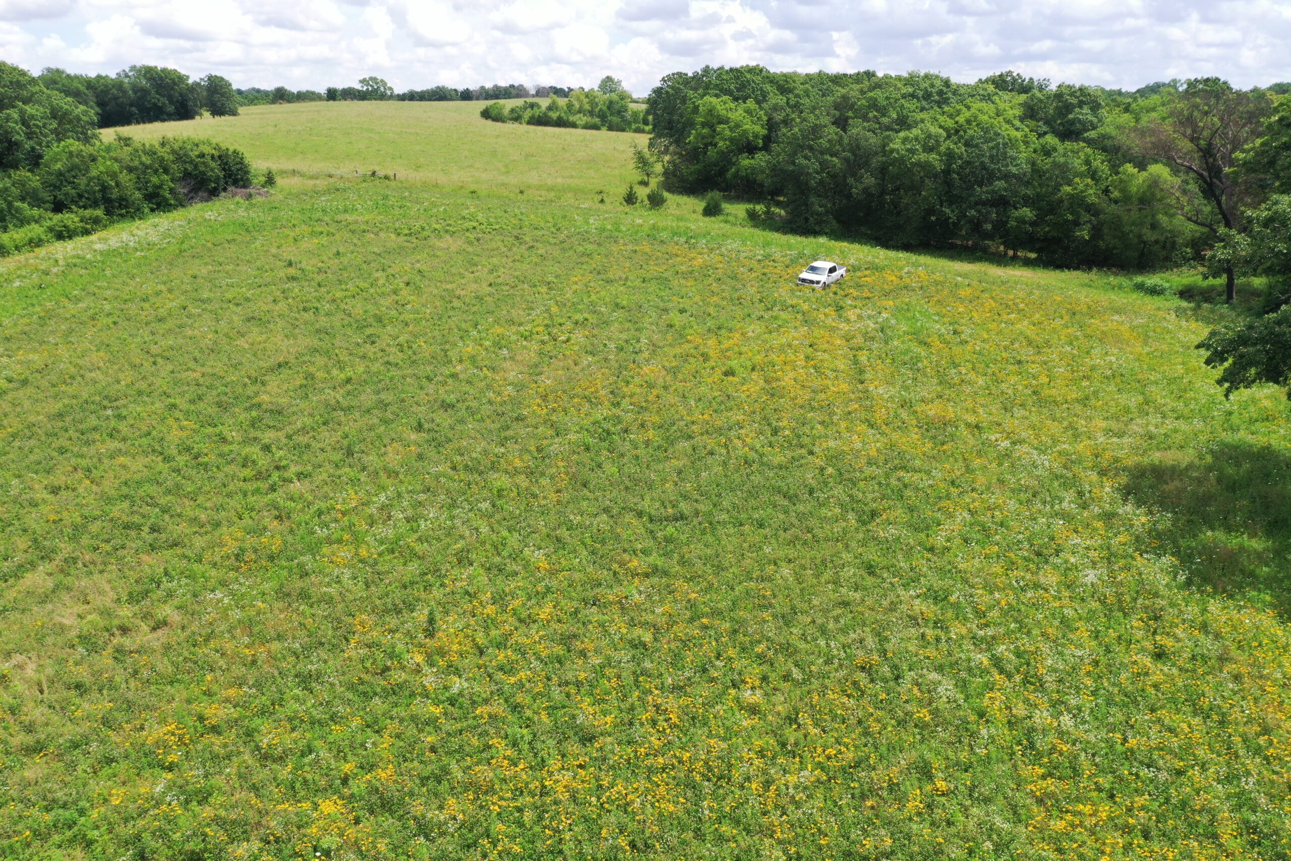 Hunting Paradise with CRP near Bethany, MO