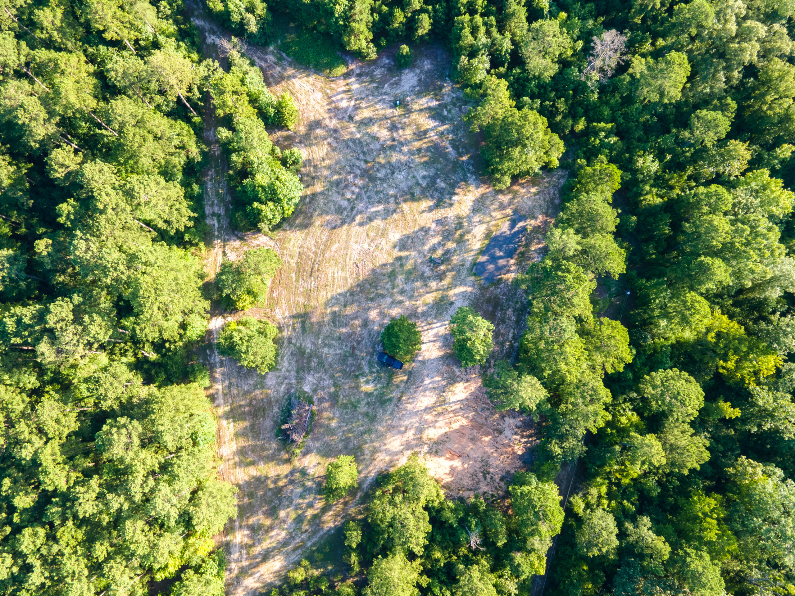 Reed Ranch – East Texas Hunting & Timber Property