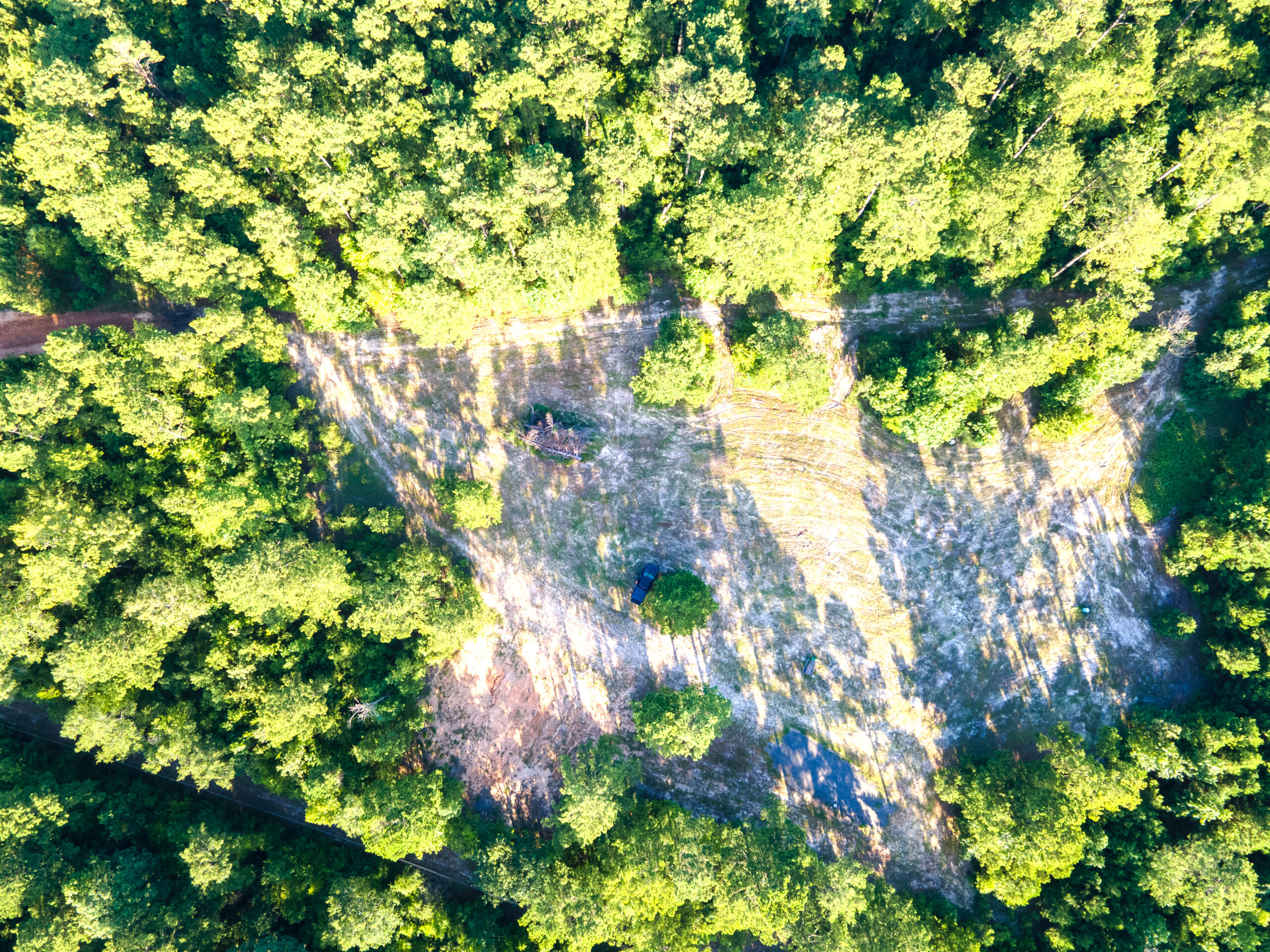 Reed Ranch – East Texas Hunting & Timber Property