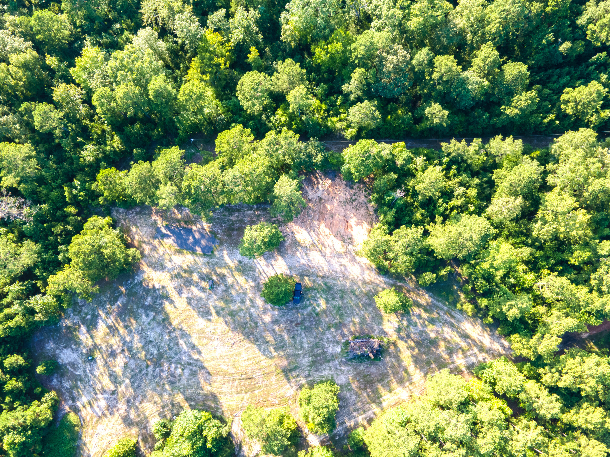 Reed Ranch – East Texas Hunting & Timber Property