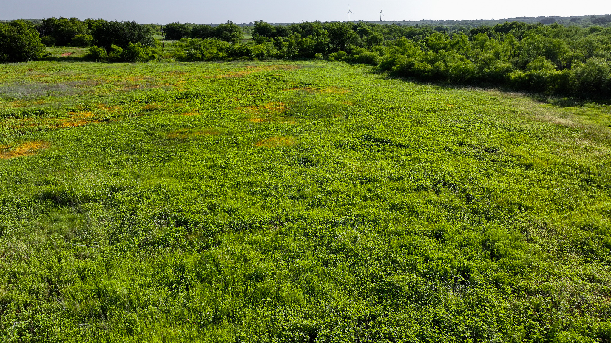 45 ac Hunting/Ranch/Residential Property in Archer County, Texas