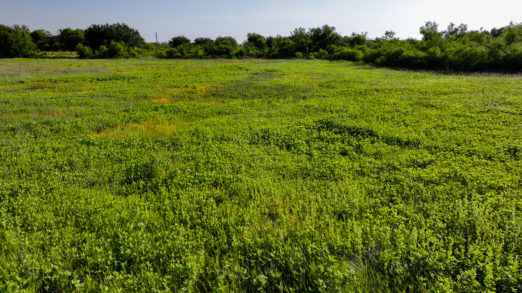 45 ac Hunting/Ranch/Residential Property in Archer County, Texas