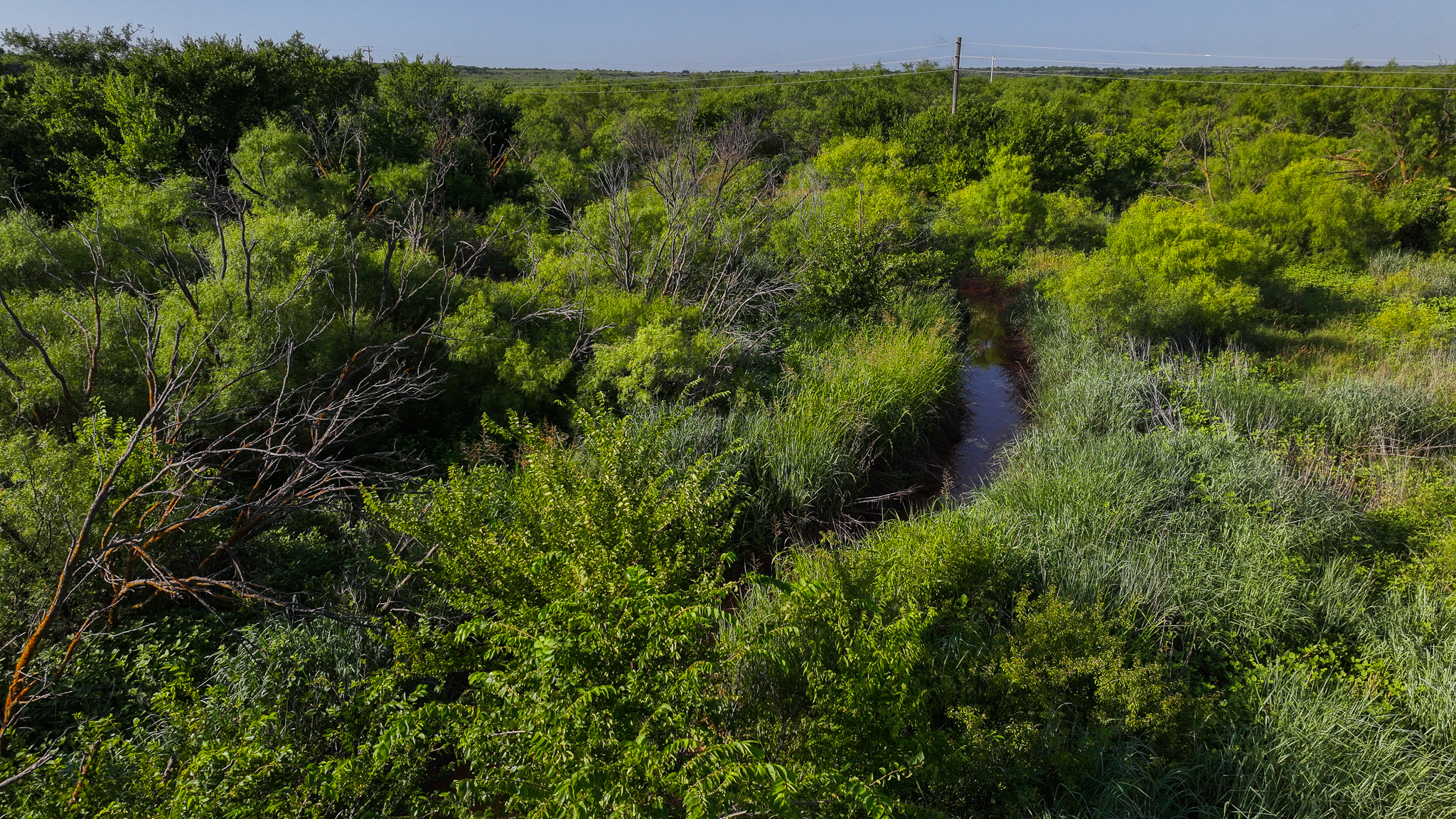 45 ac Hunting/Ranch/Residential Property in Archer County, Texas