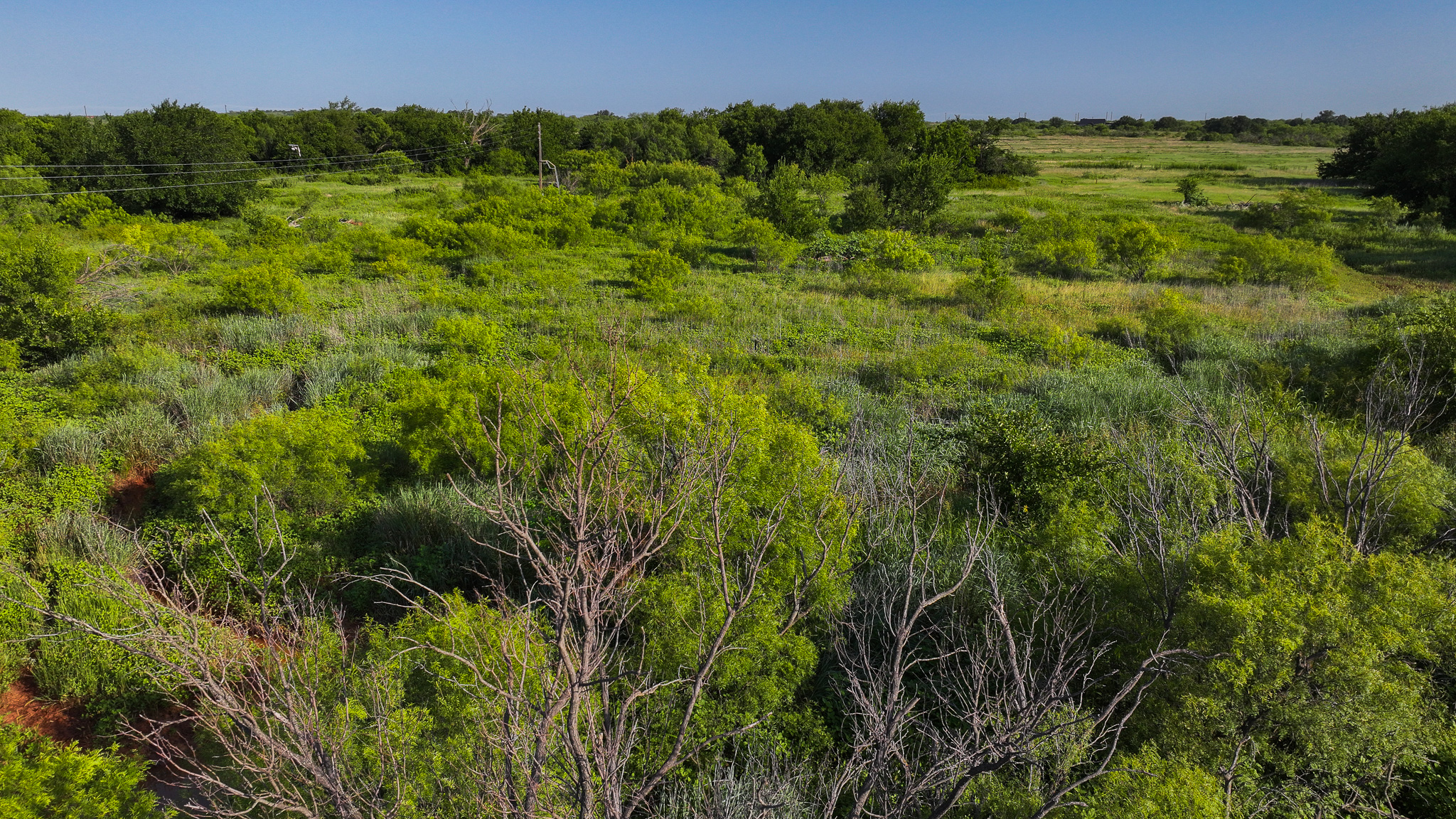 45 ac Hunting/Ranch/Residential Property in Archer County, Texas
