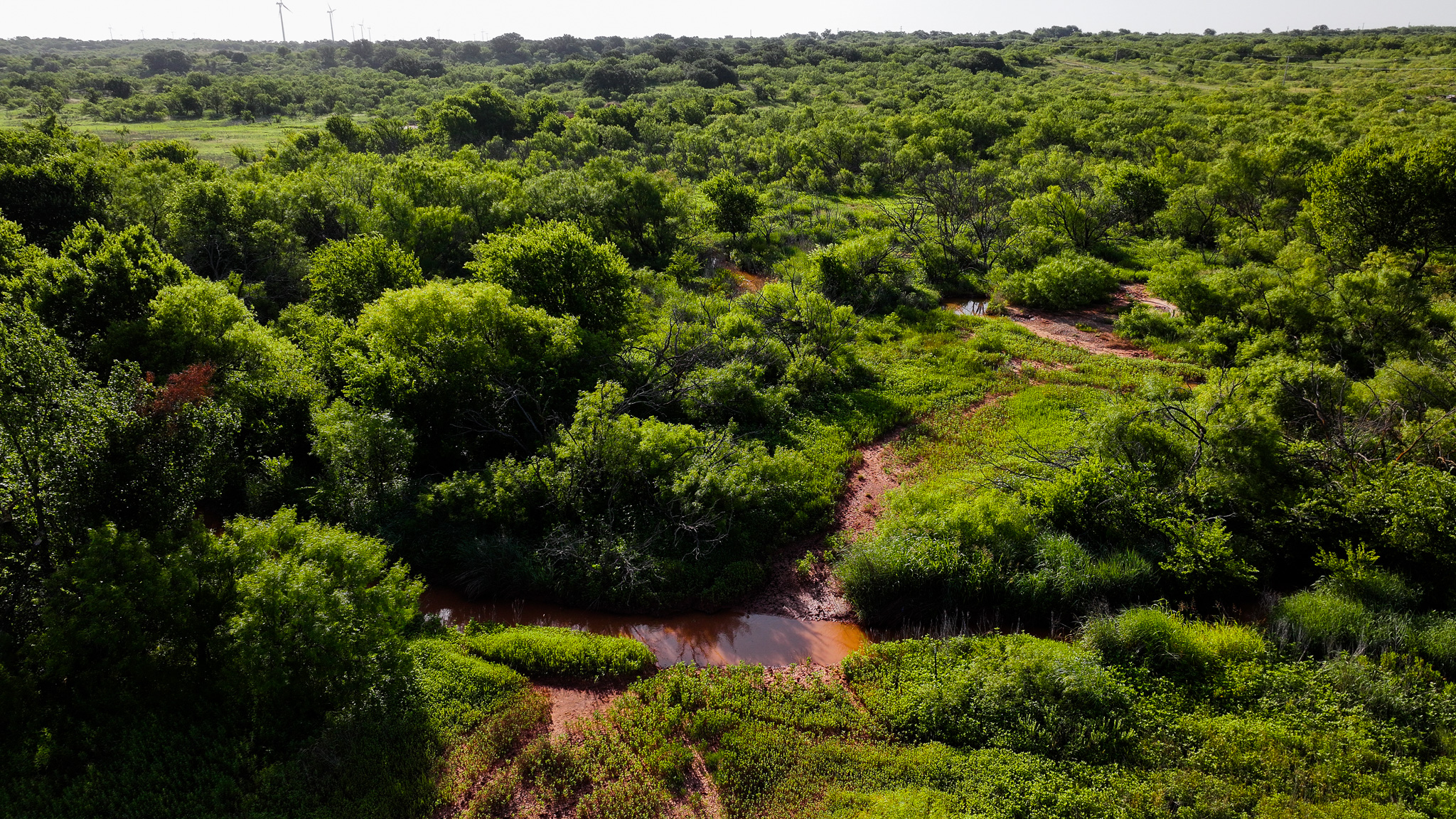 45 ac Hunting/Ranch/Residential Property in Archer County, Texas