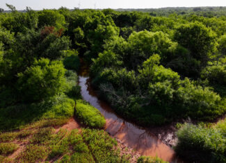 45 ac Hunting/Ranch/Residential Property in Archer County, Texas