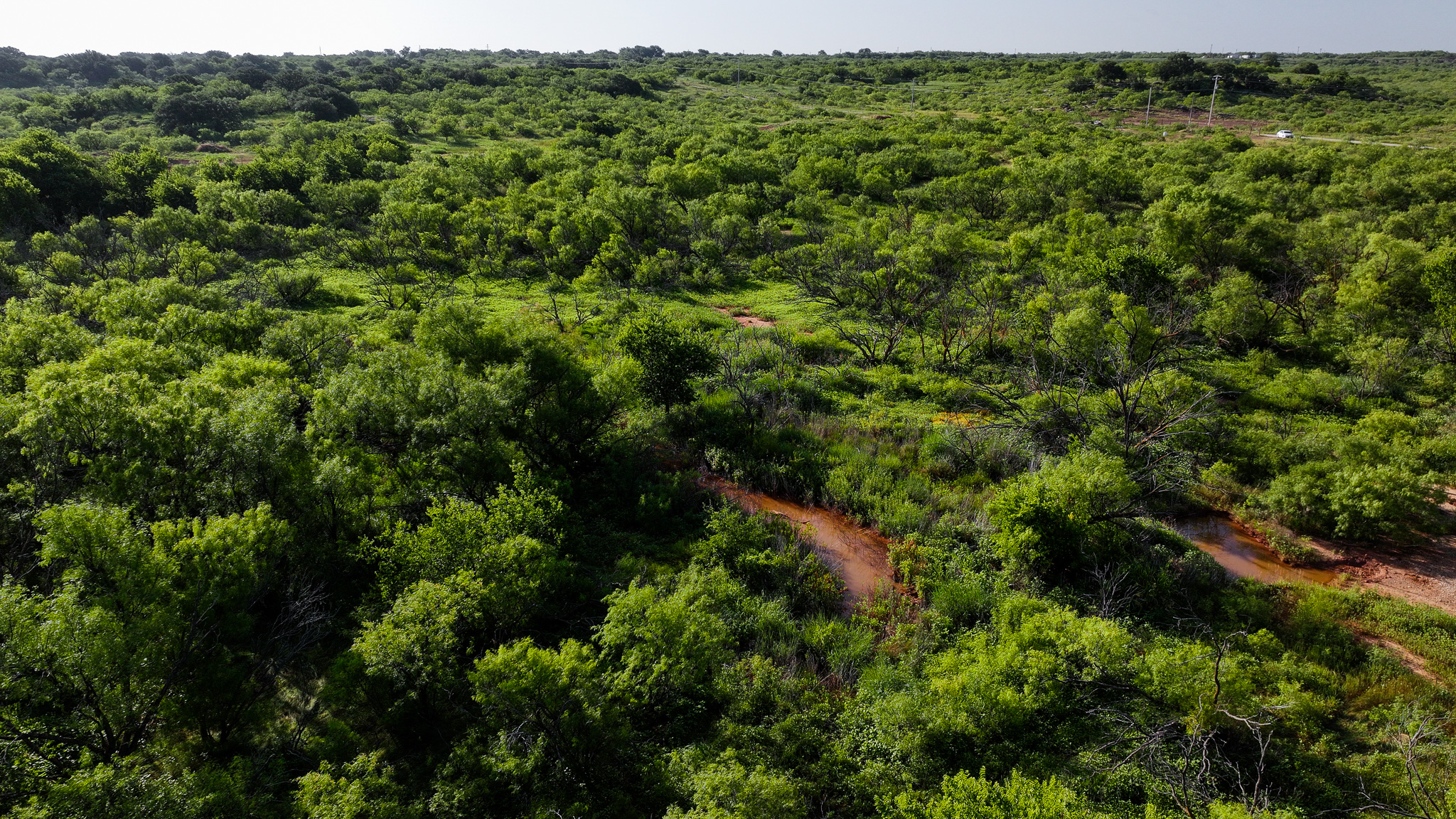 45 ac Hunting/Ranch/Residential Property in Archer County, Texas
