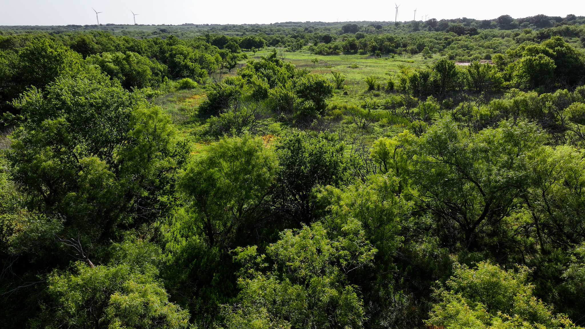 45 ac Hunting/Ranch/Residential Property in Archer County, Texas