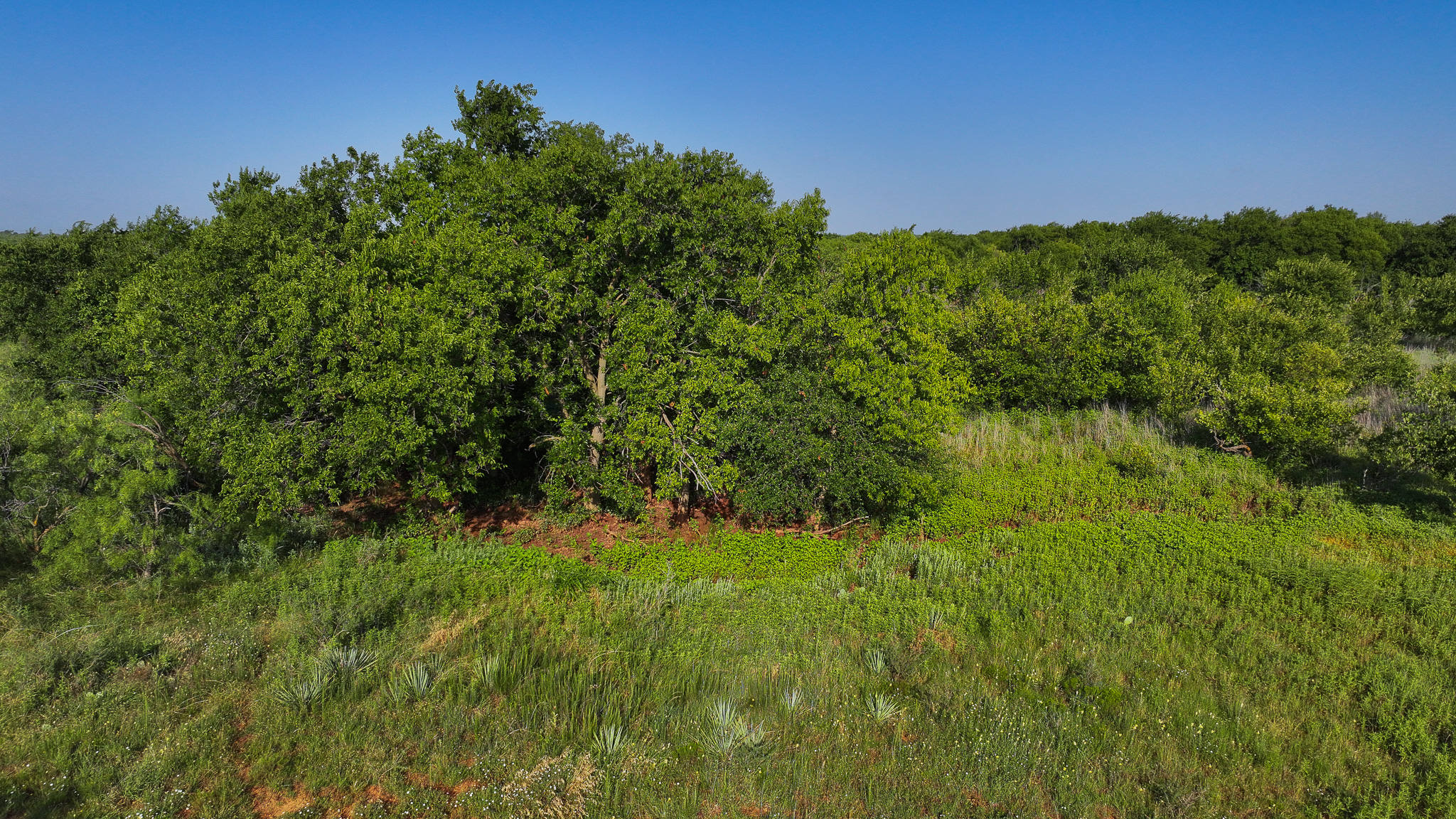 45 ac Hunting/Ranch/Residential Property in Archer County, Texas