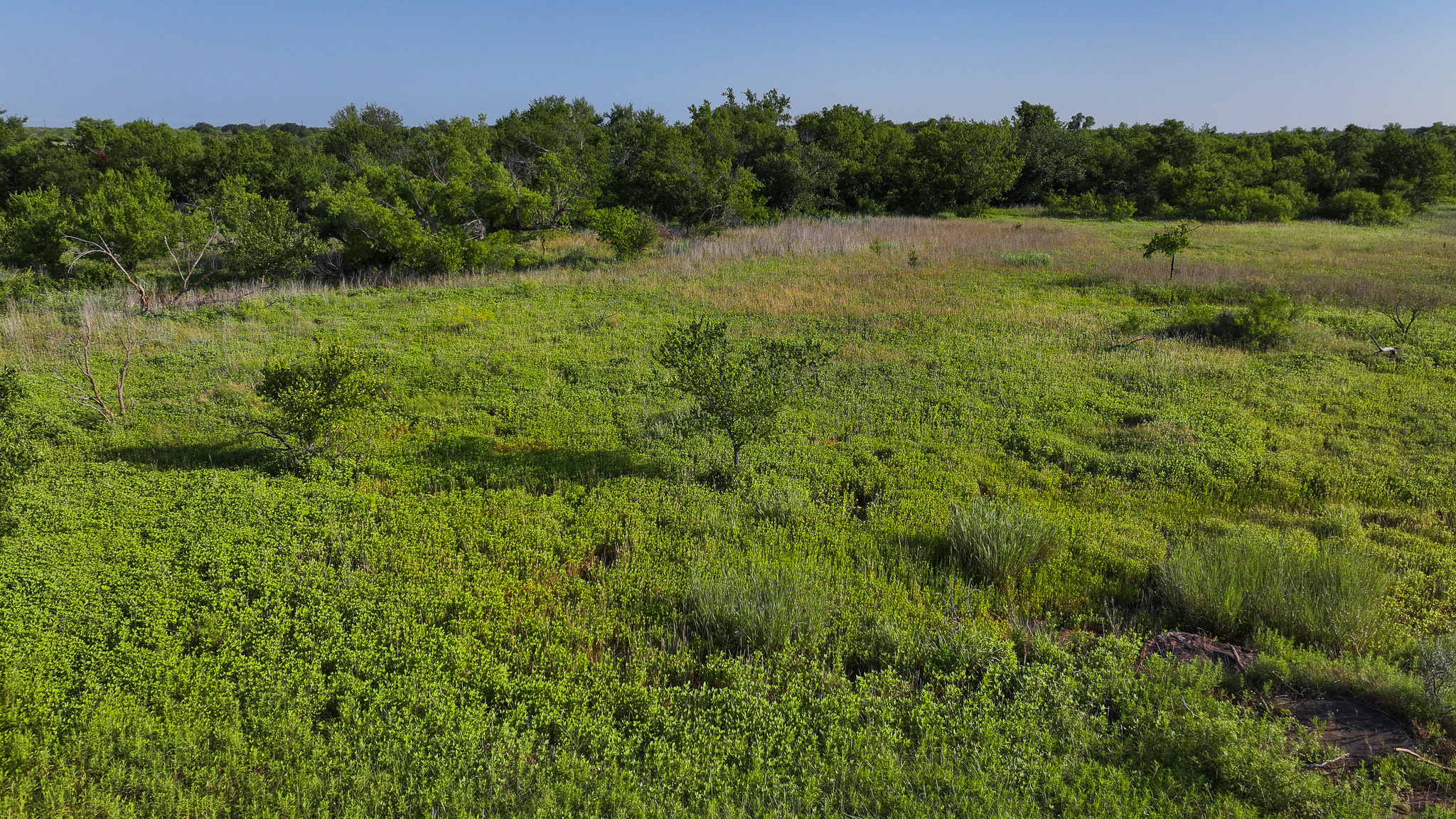 45 ac Hunting/Ranch/Residential Property in Archer County, Texas