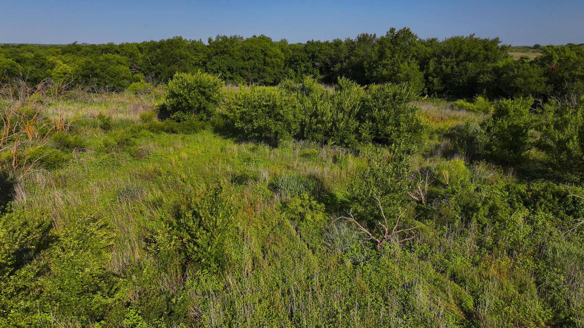 45 ac Hunting/Ranch/Residential Property in Archer County, Texas
