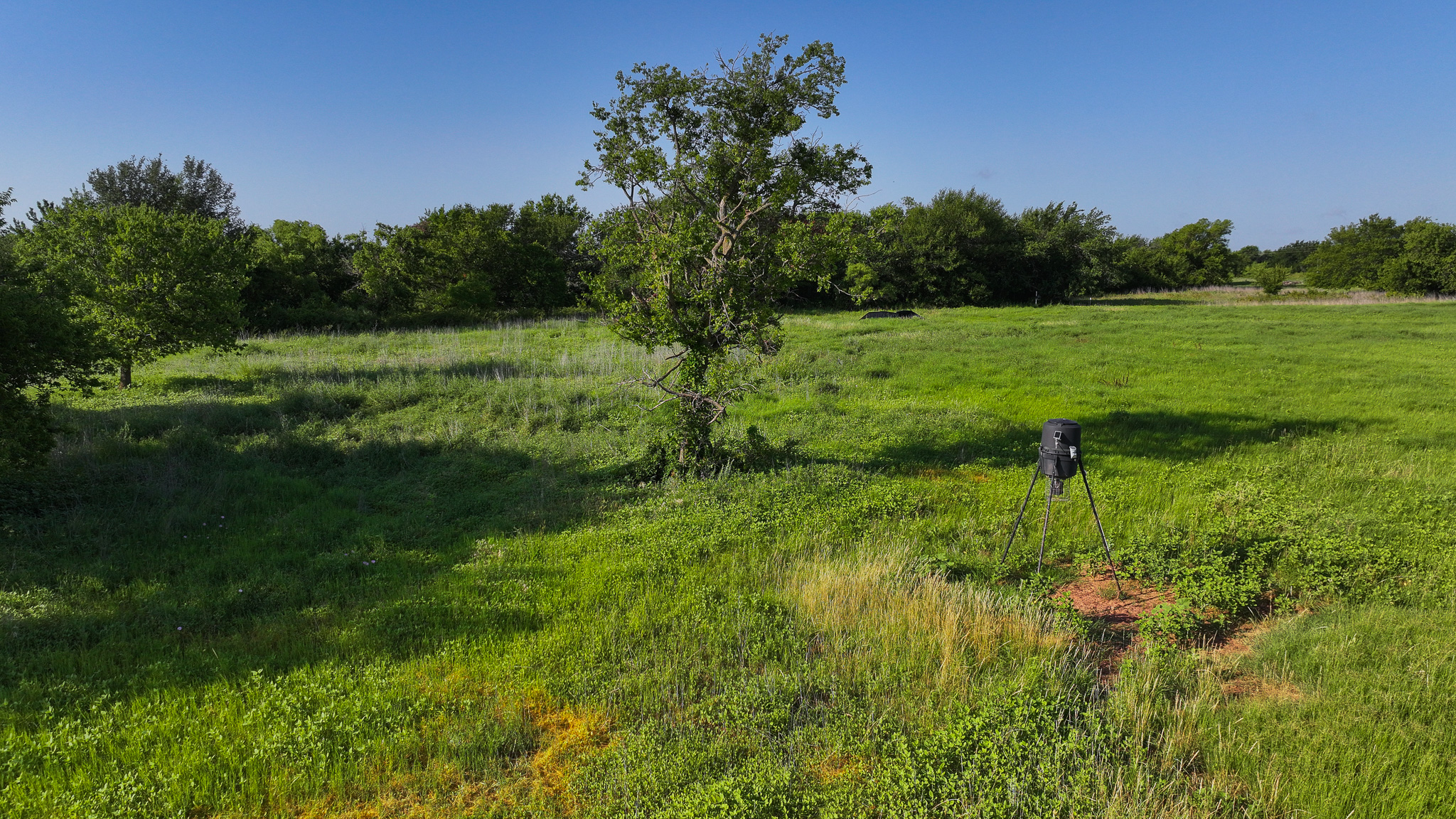 45 ac Hunting/Ranch/Residential Property in Archer County, Texas