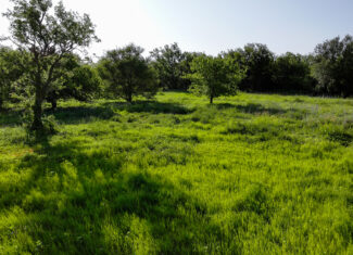 45 ac Hunting/Ranch/Residential Property in Archer County, Texas