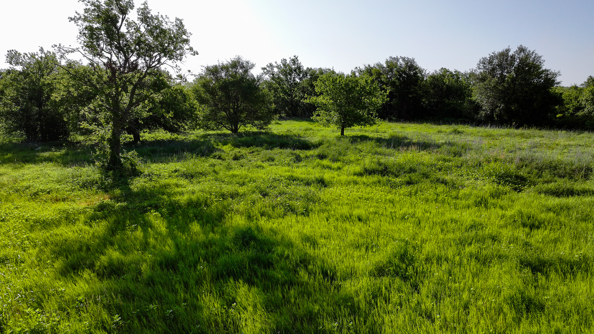 45 ac Hunting/Ranch/Residential Property in Archer County, Texas