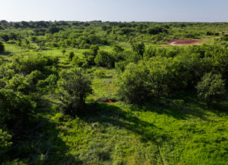 45 ac Hunting/Ranch/Residential Property in Archer County, Texas