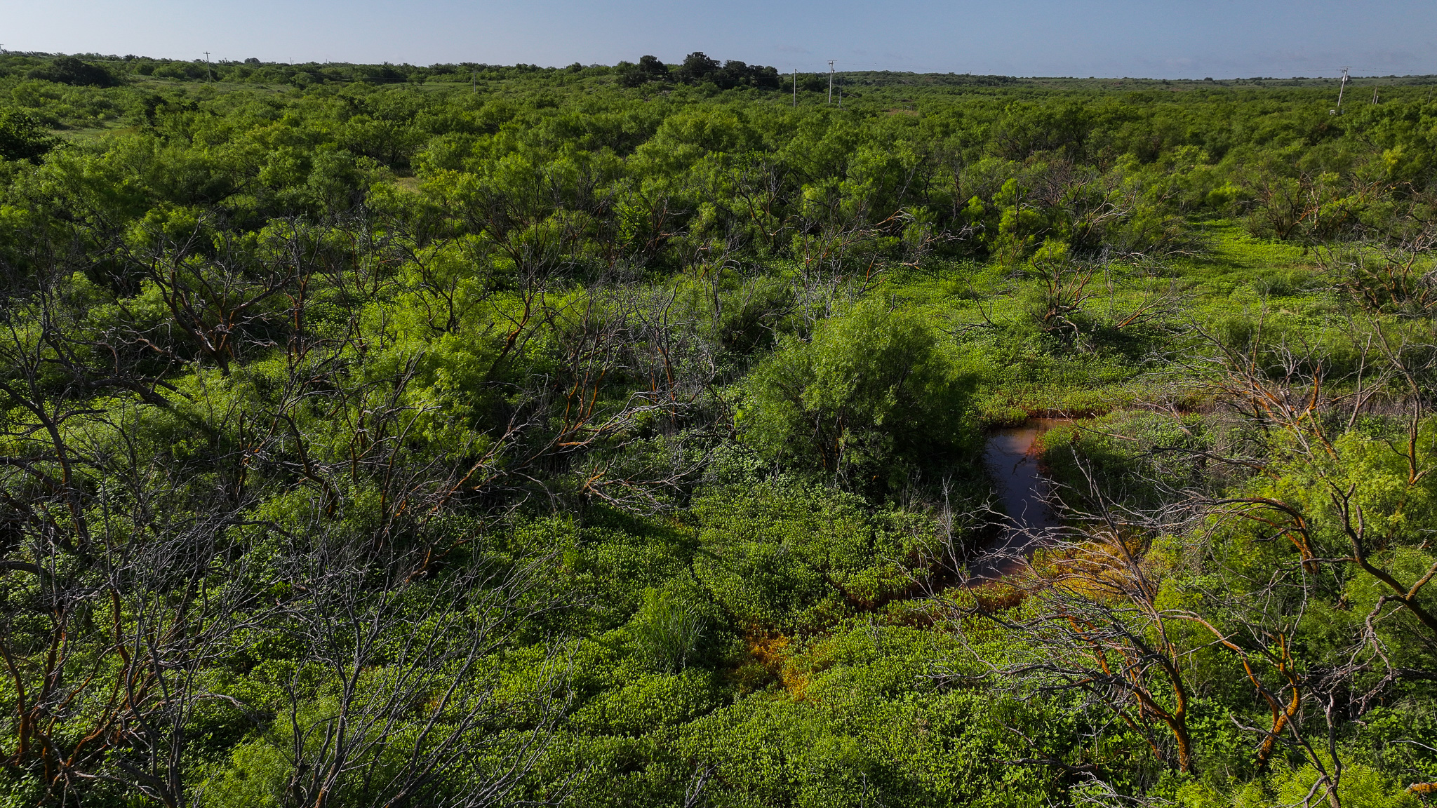 45 ac Hunting/Ranch/Residential Property in Archer County, Texas