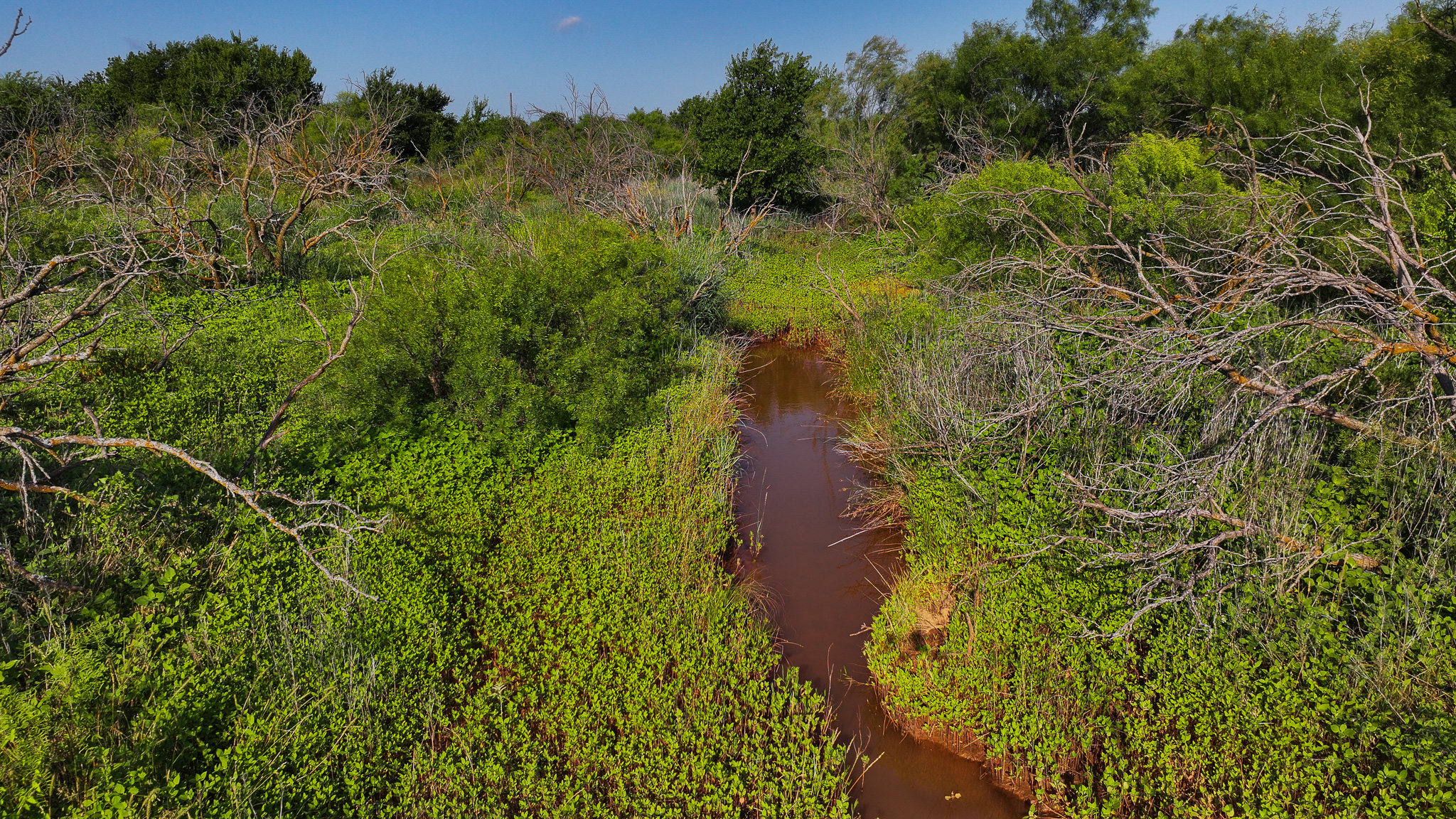 45 ac Hunting/Ranch/Residential Property in Archer County, Texas